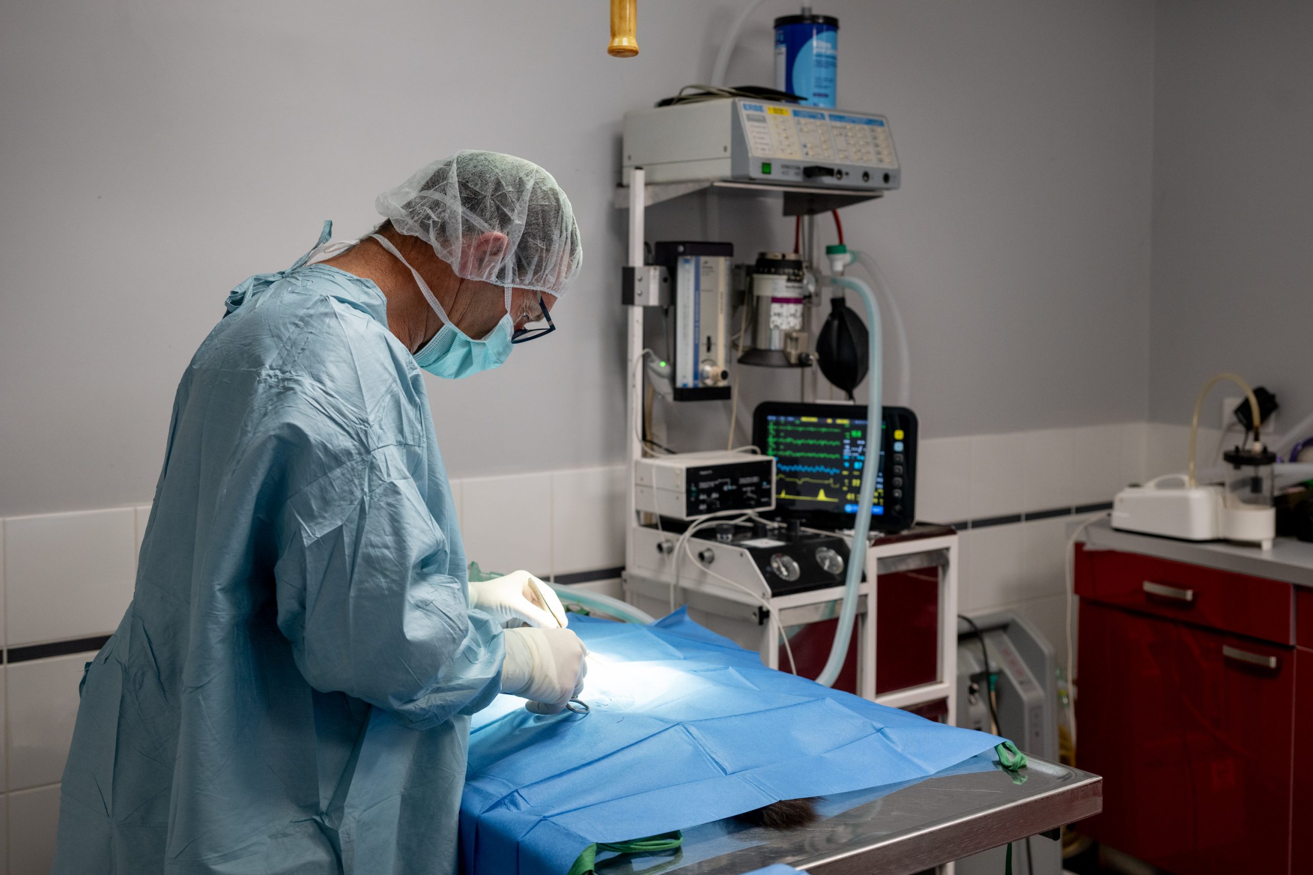 clinique vétérinaire alfavet le bouscat 01