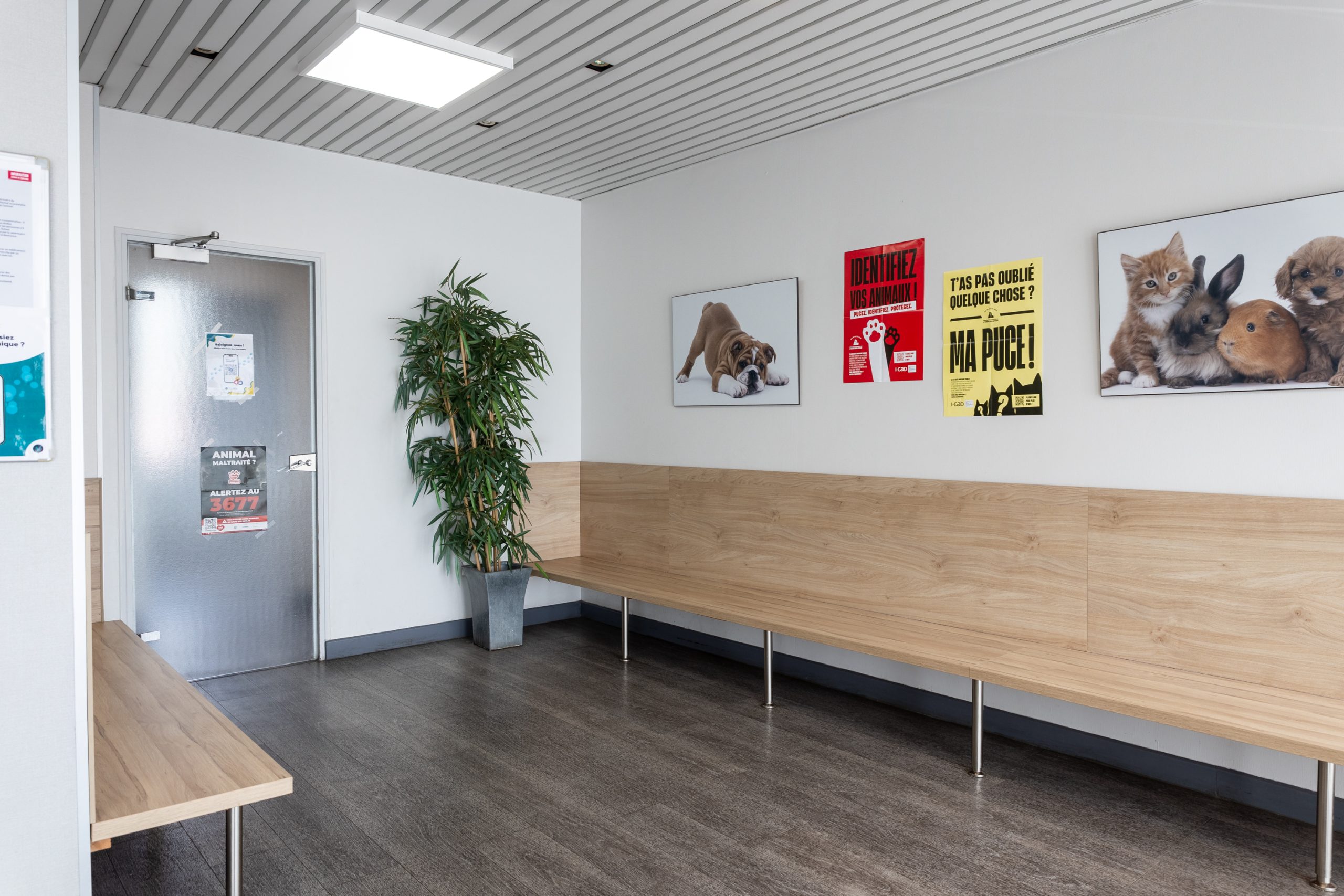 clinique vétérinaire mon véto drancy drancy 04