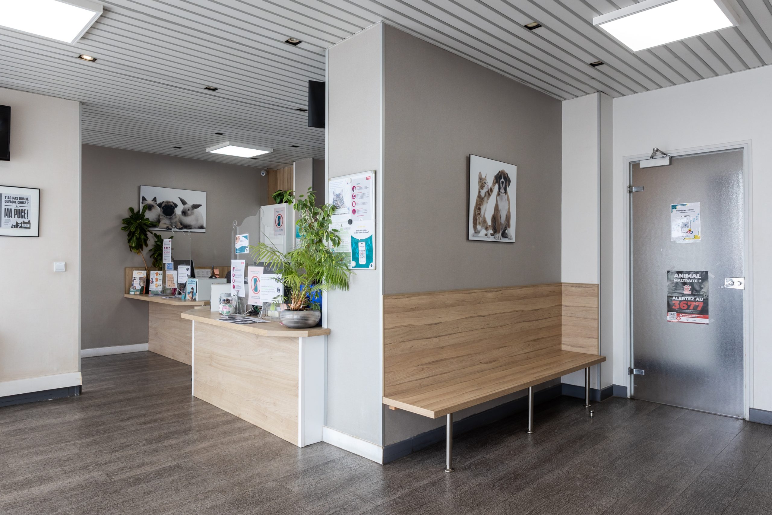 clinique vétérinaire mon véto drancy drancy 05
