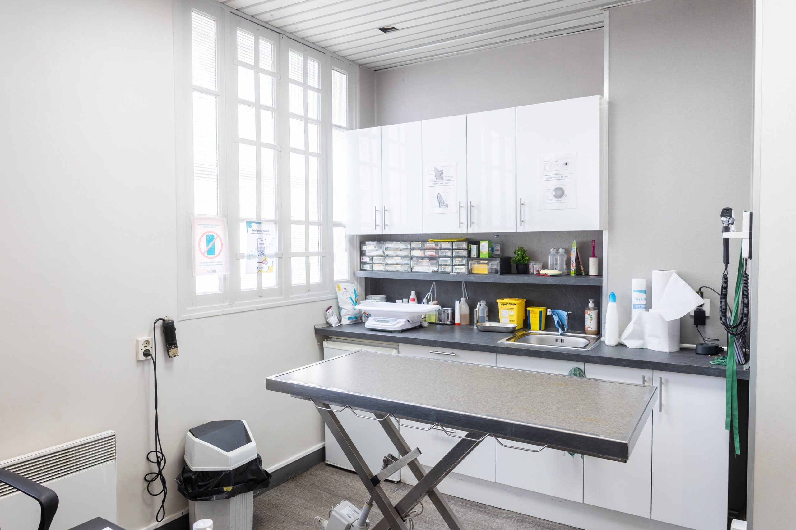 clinique vétérinaire mon véto drancy drancy 08