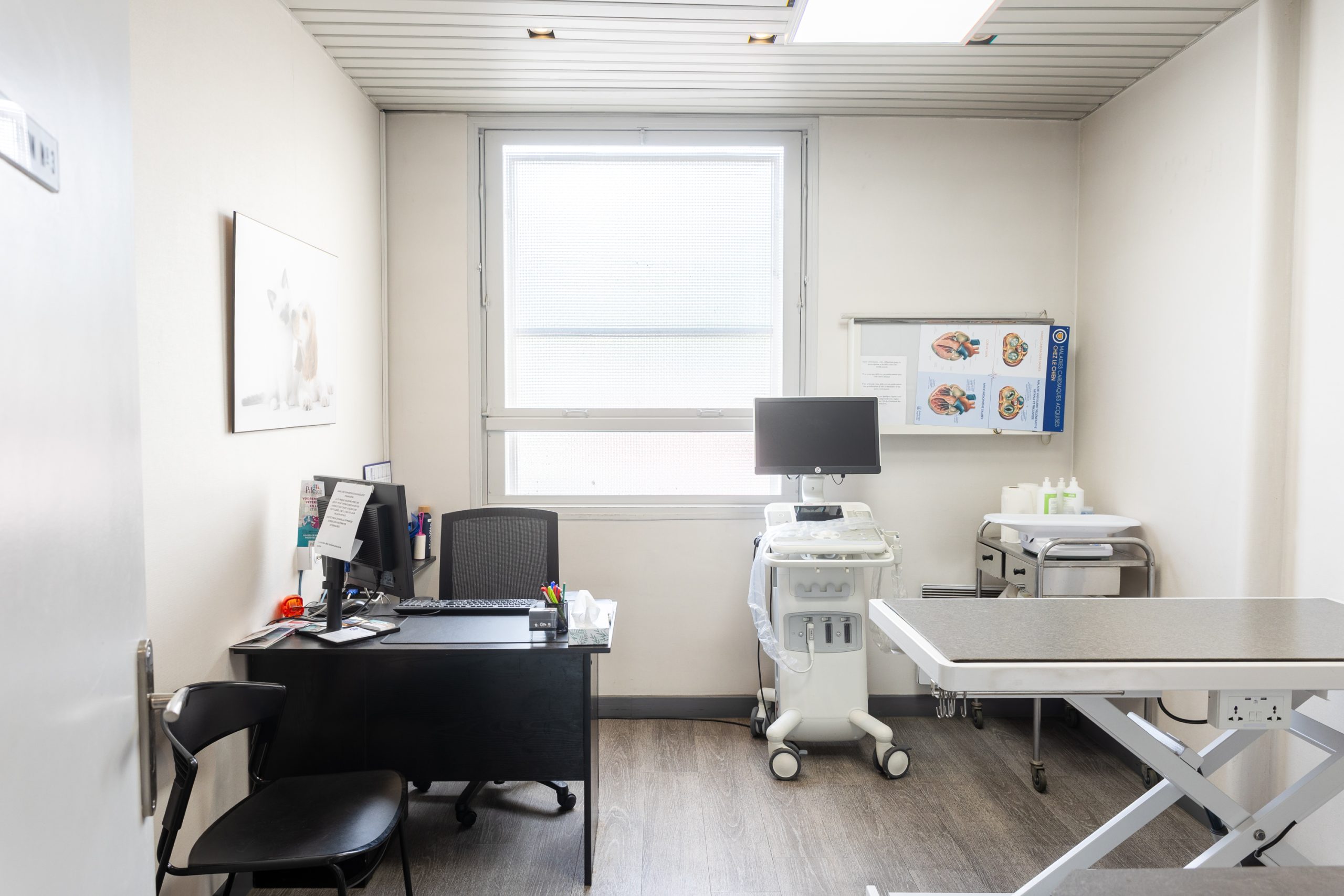 clinique vétérinaire mon véto drancy drancy 10