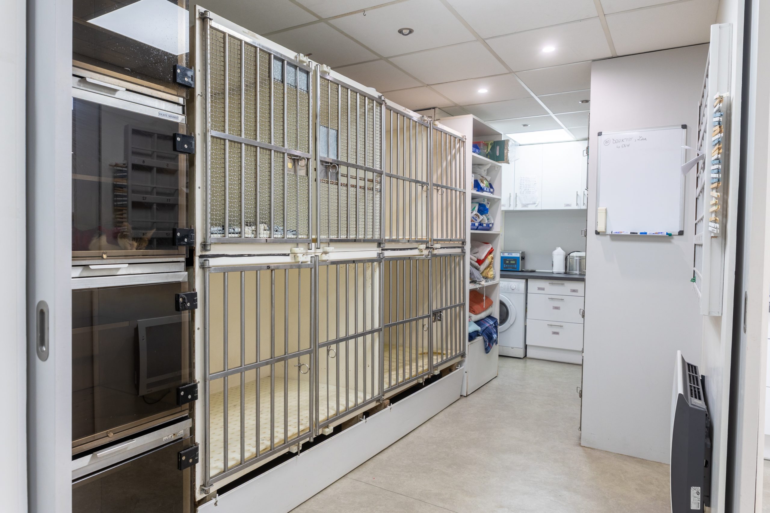 clinique vétérinaire mon véto drancy drancy 12