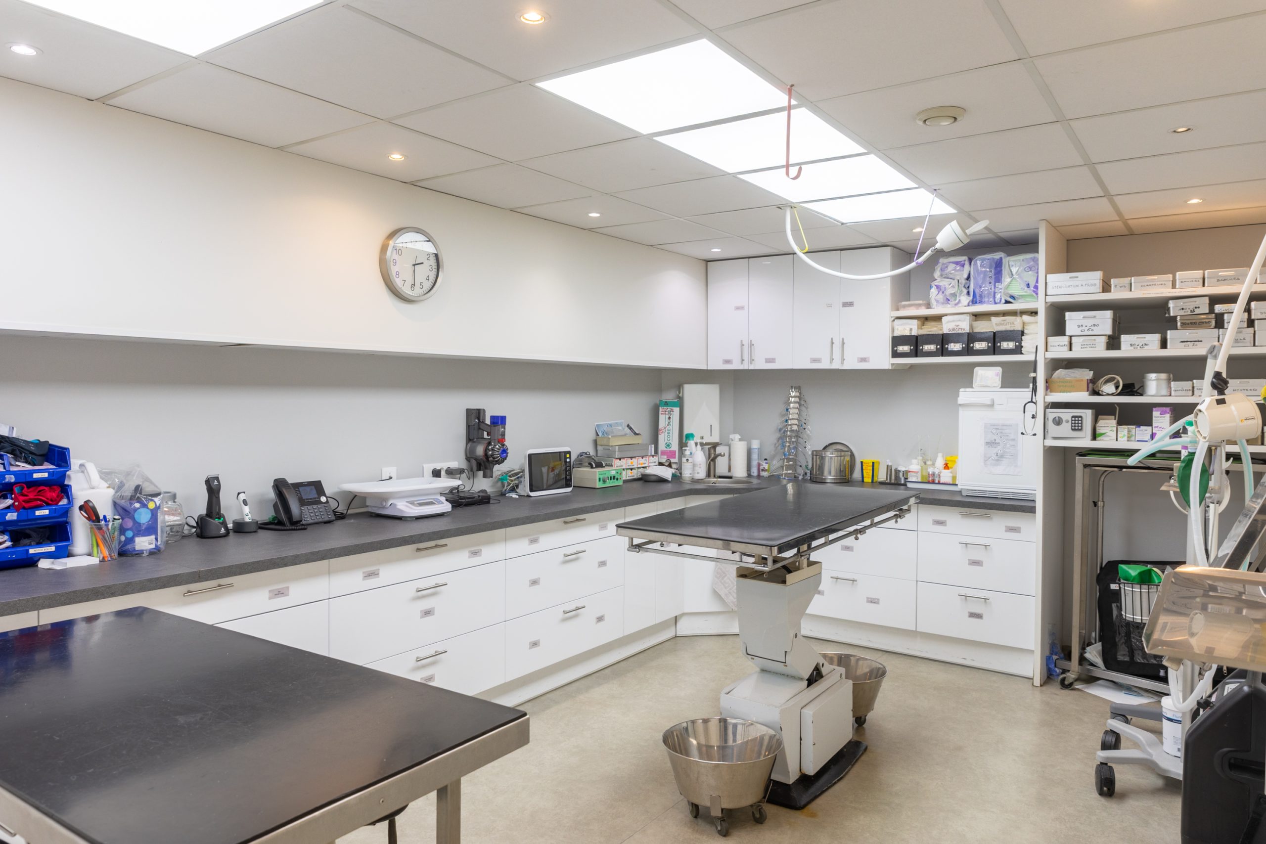 clinique vétérinaire mon véto drancy drancy 13