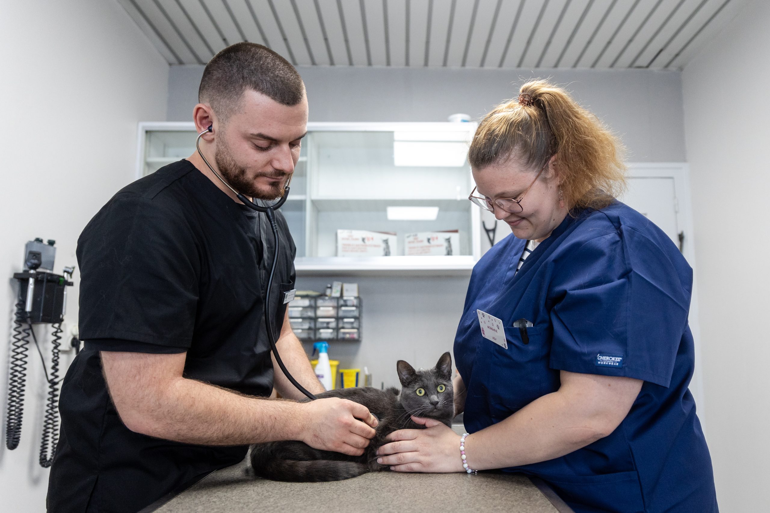 clinique vétérinaire mon véto drancy drancy 14