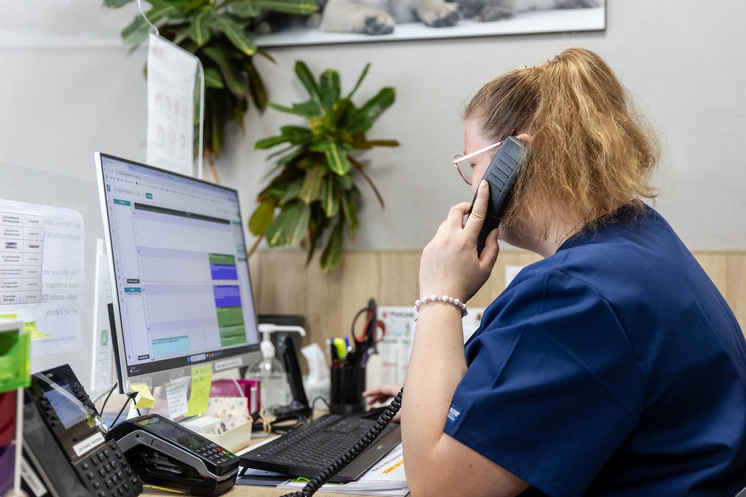 clinique vétérinaire mon véto drancy drancy 17