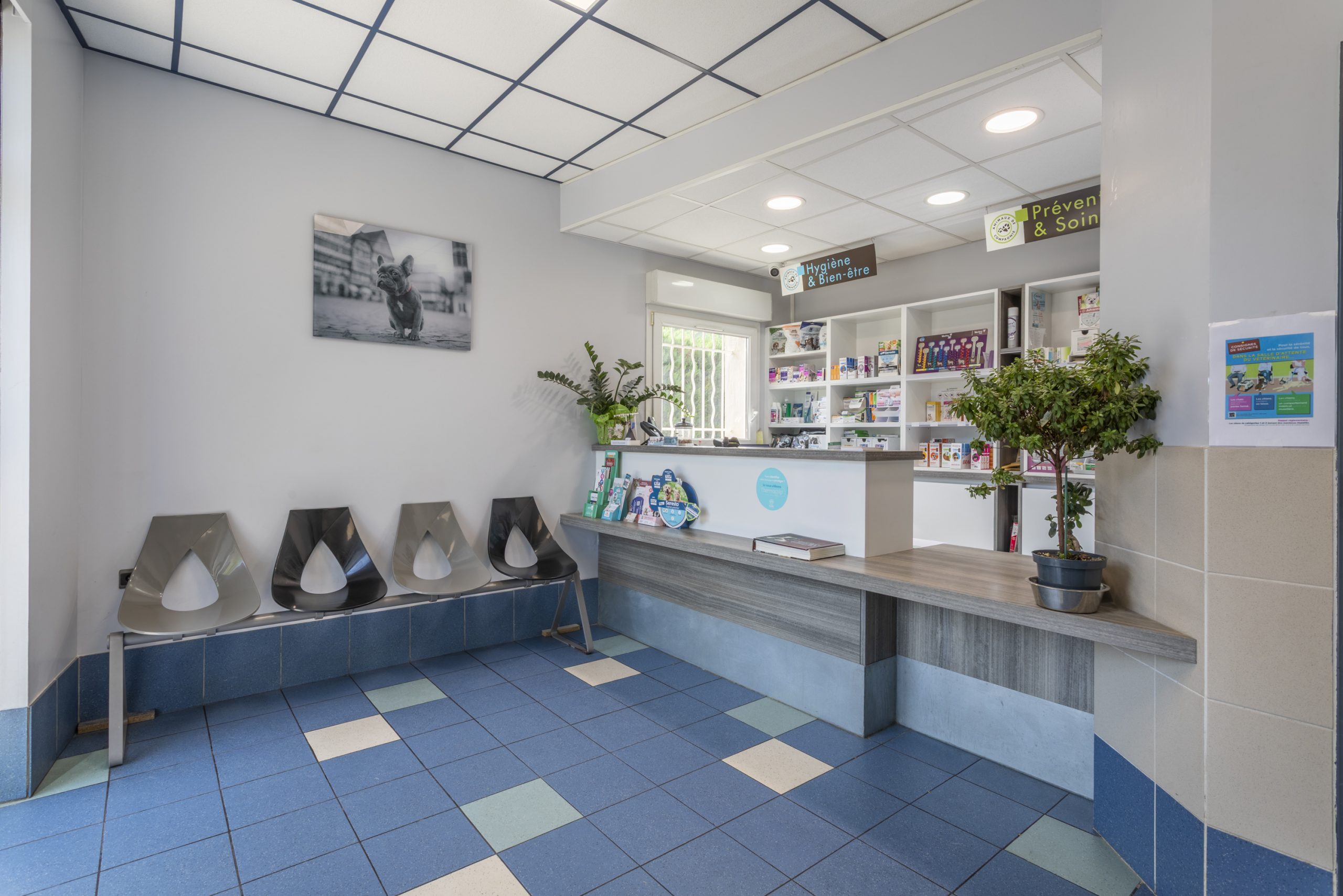 clinique vétérinaire de rousset rousset 1