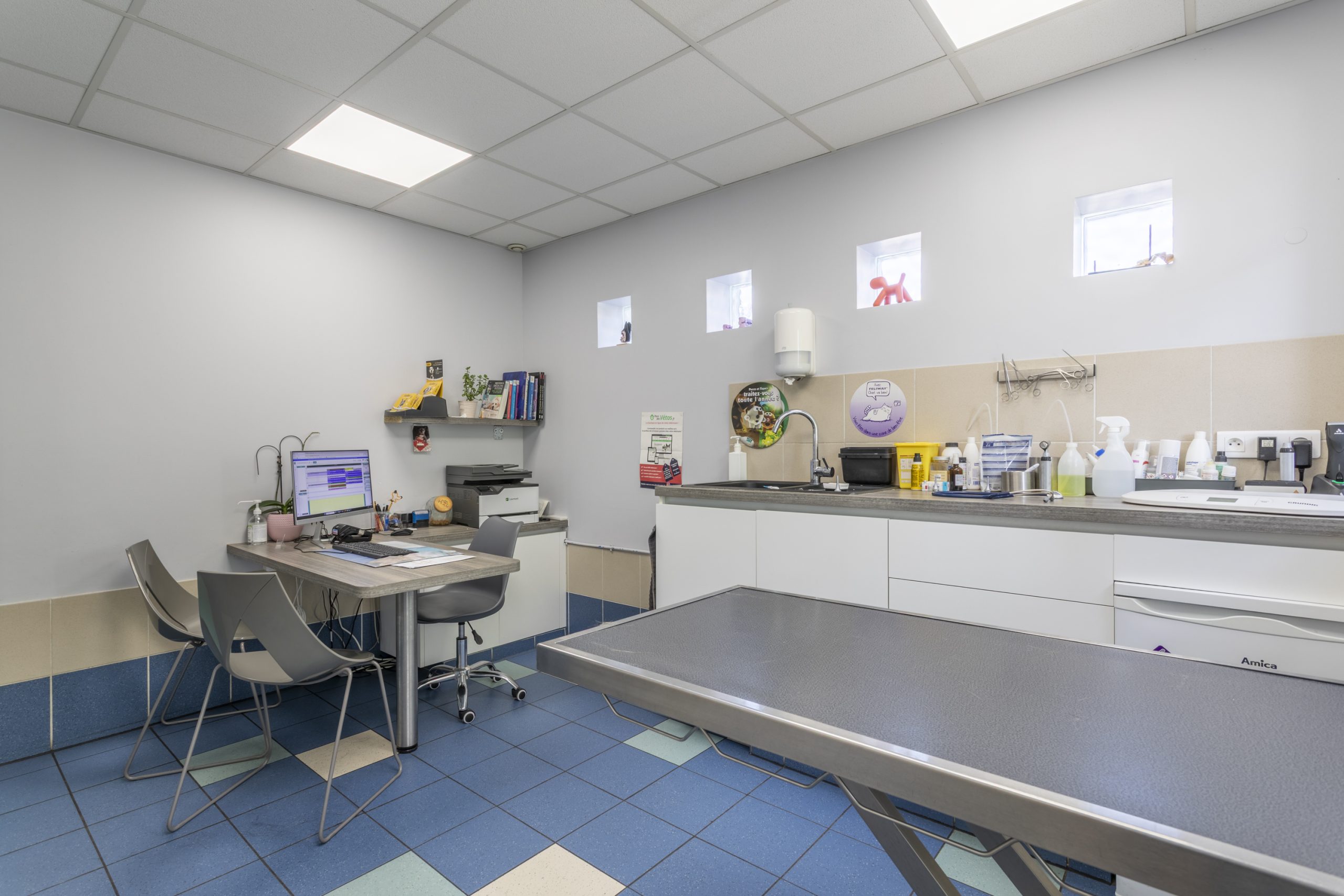 clinique vétérinaire de rousset rousset 11