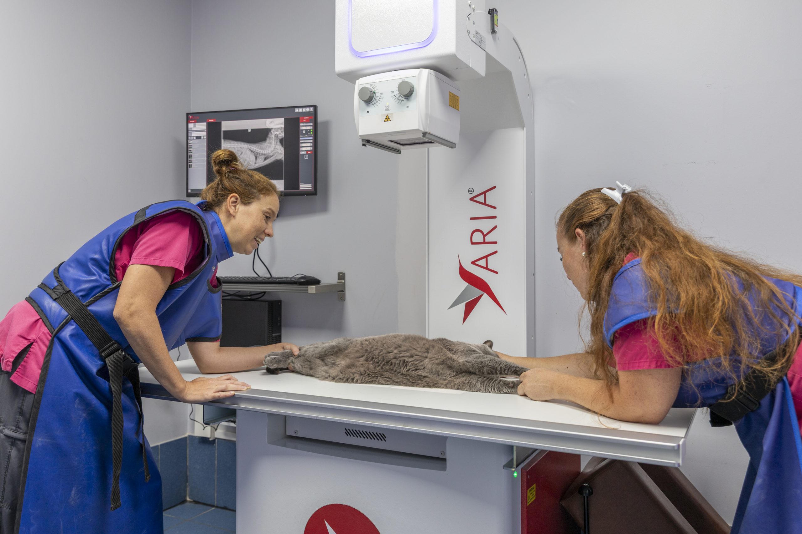 clinique vétérinaire de rousset rousset 13