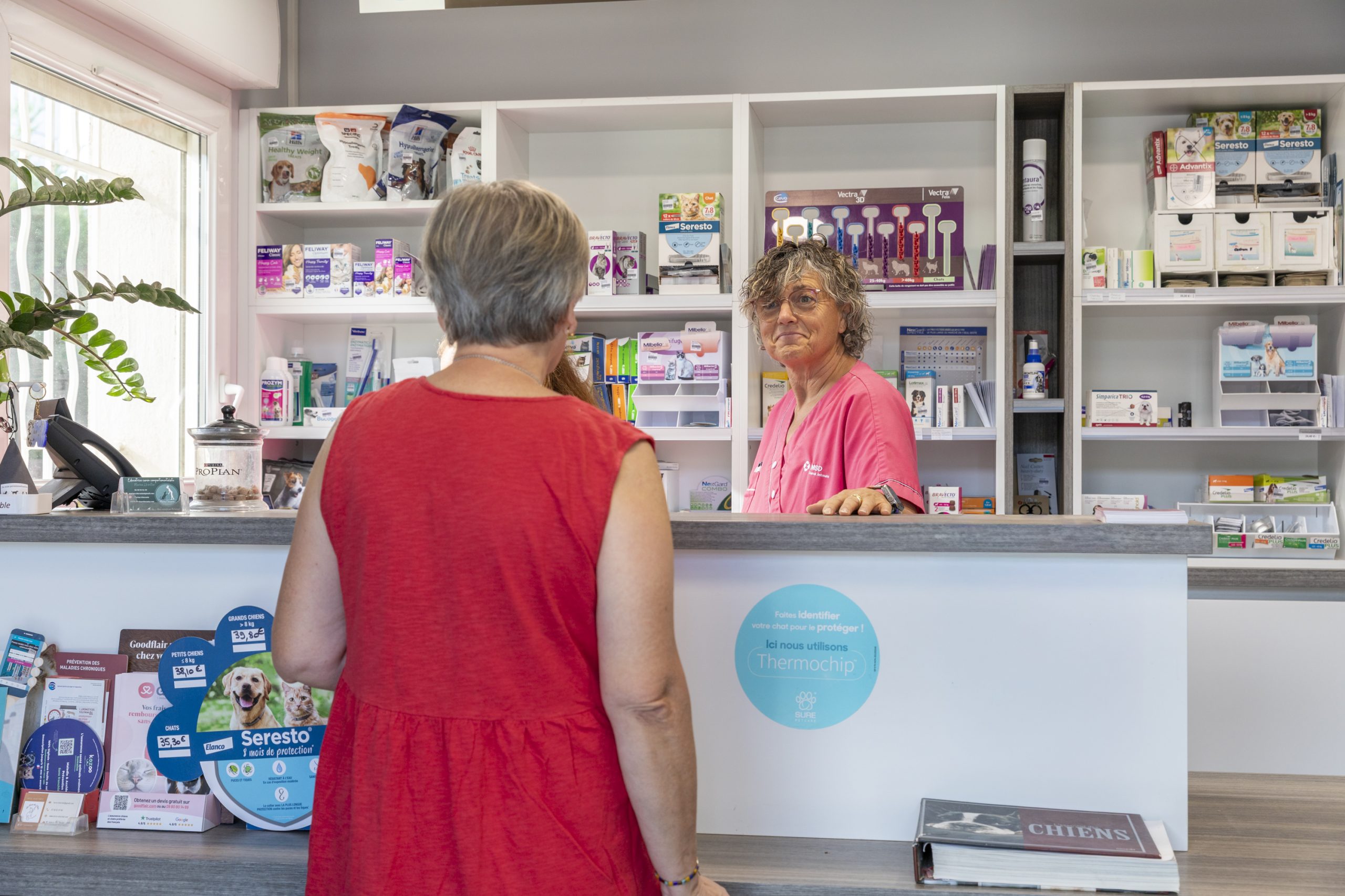 clinique vétérinaire de rousset rousset 16