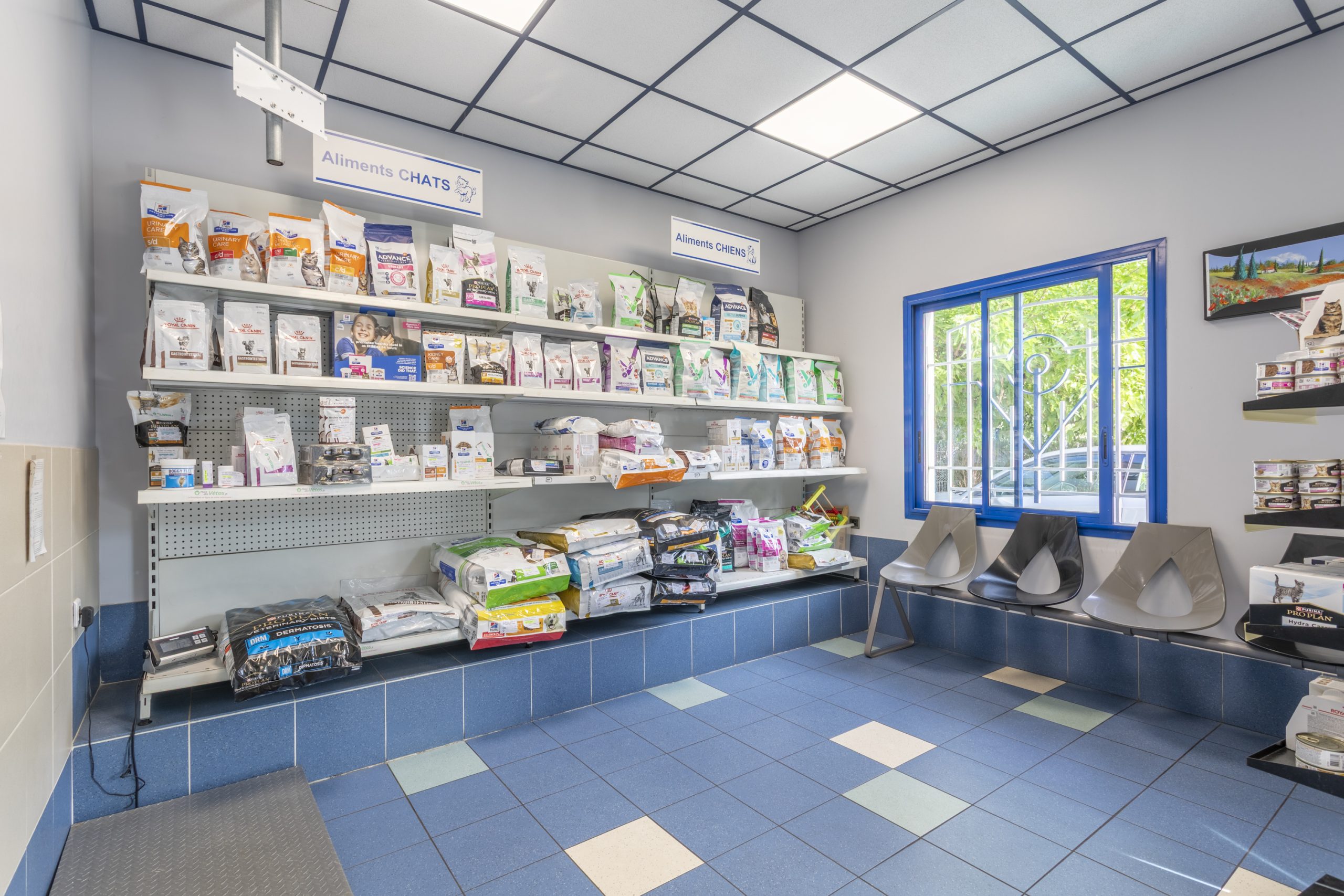 clinique vétérinaire de rousset rousset 18