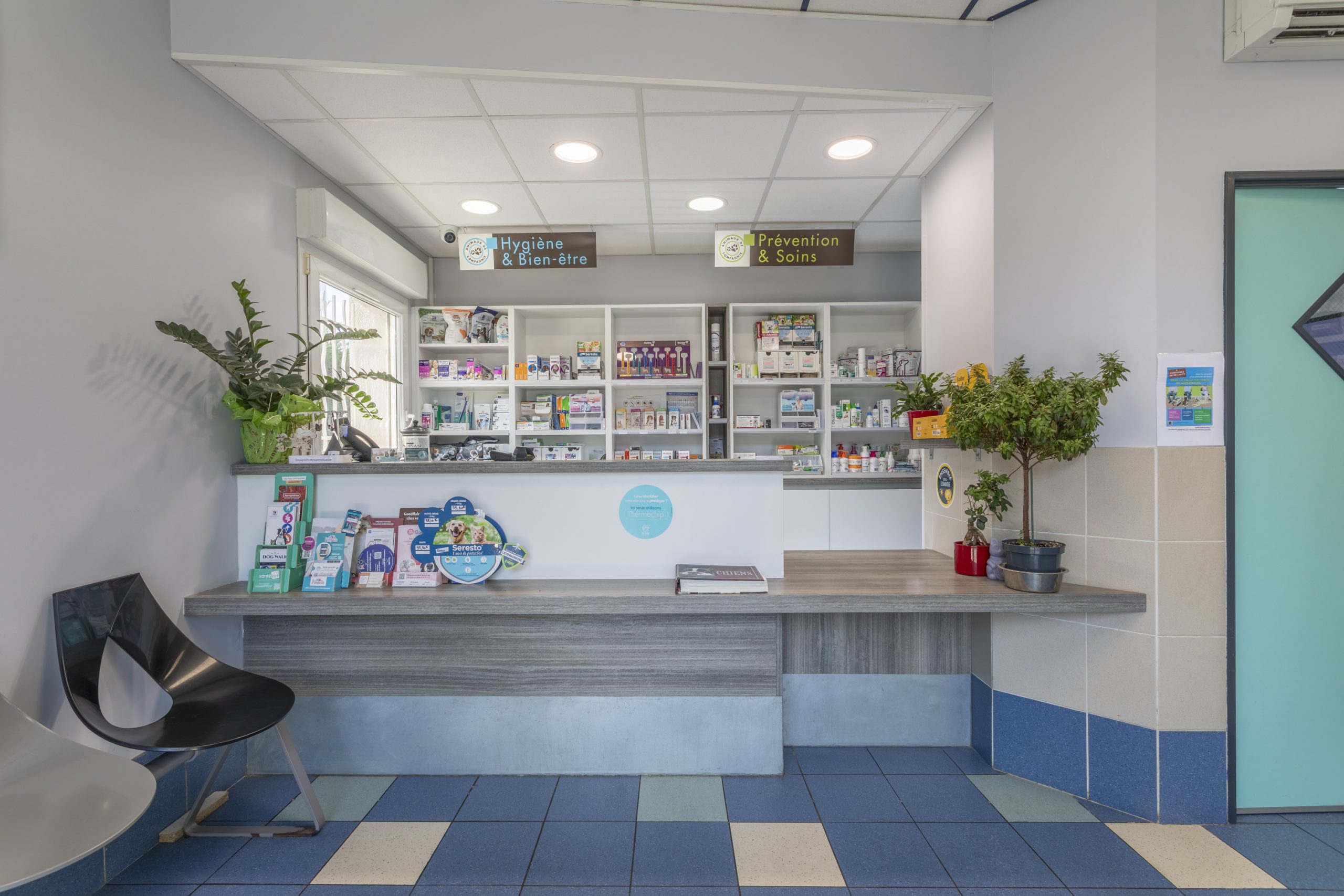 clinique vétérinaire de rousset rousset 2