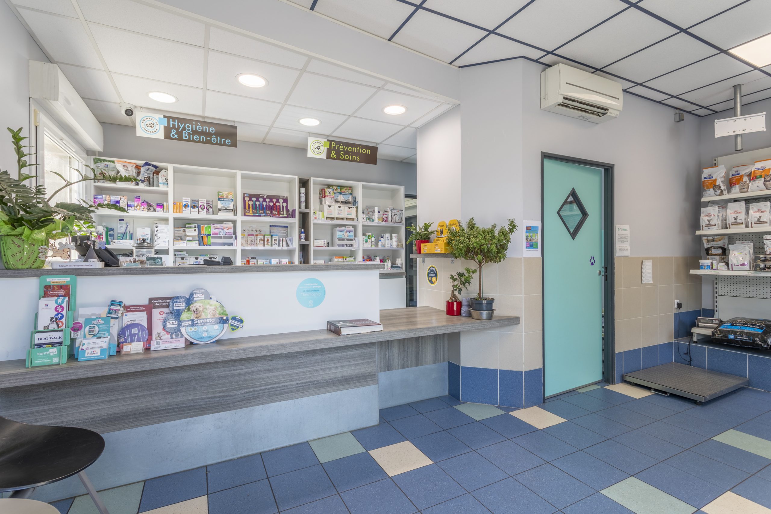 clinique vétérinaire de rousset rousset 3