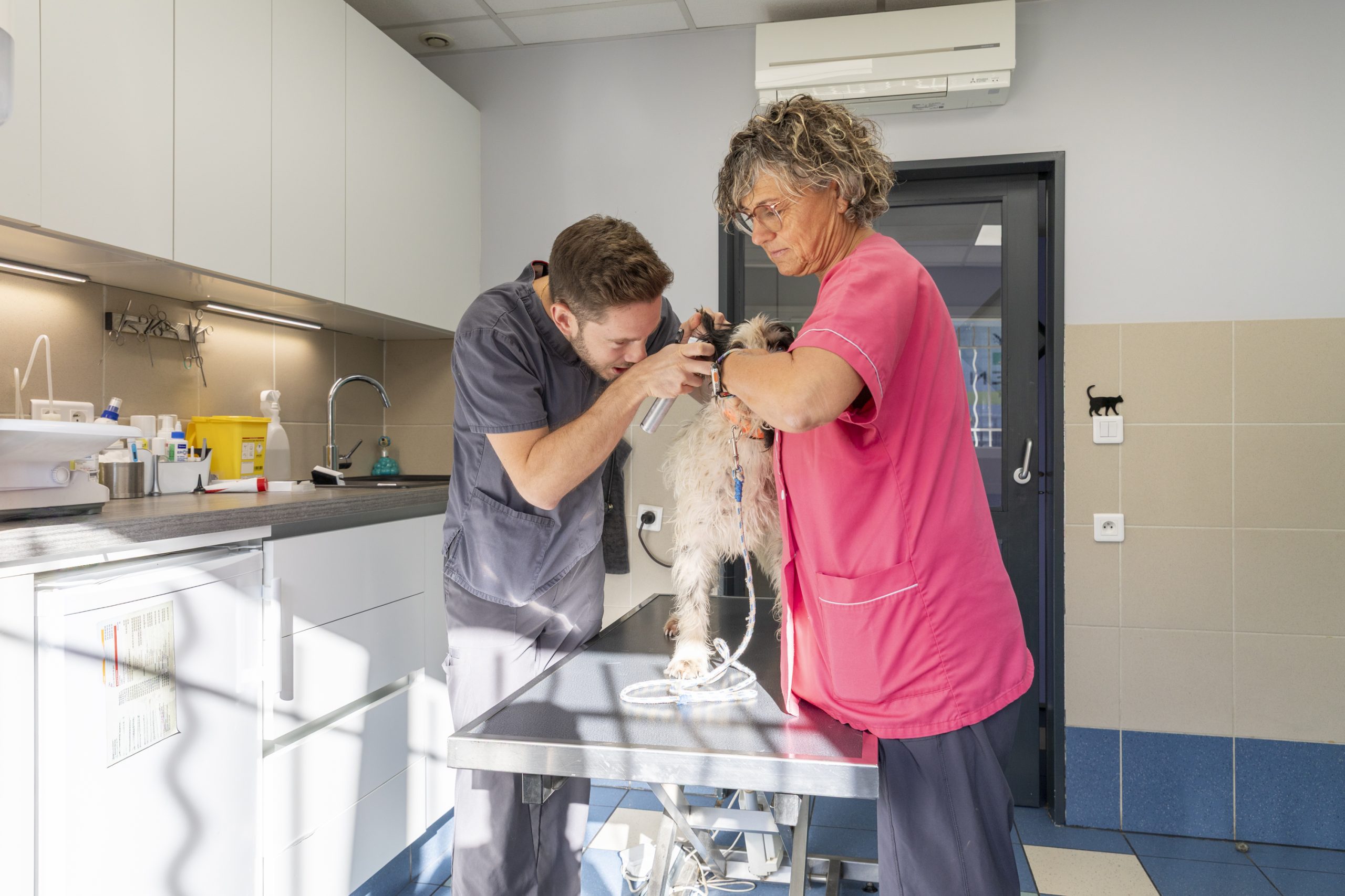 clinique vétérinaire de rousset rousset 5