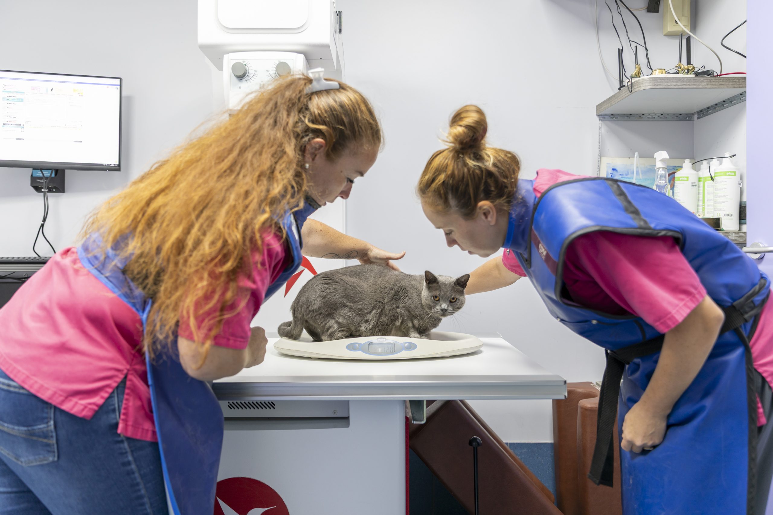 clinique vétérinaire de rousset rousset 9