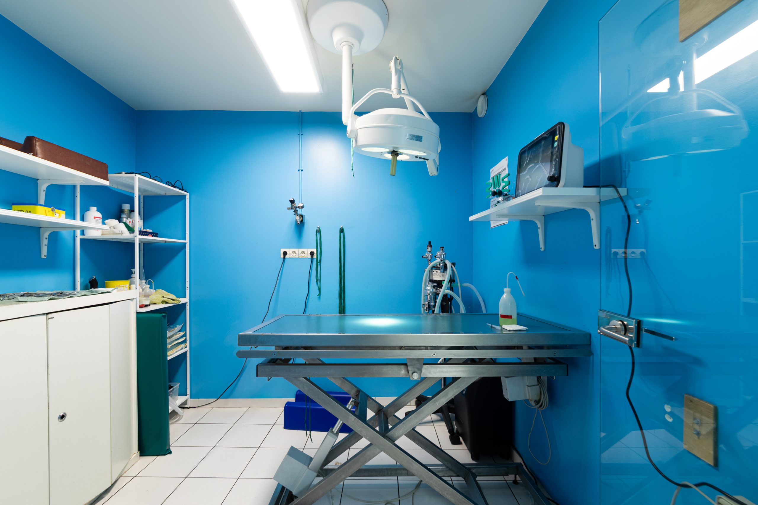 clinique vétérinaire du caou montigny le bretonneux 09