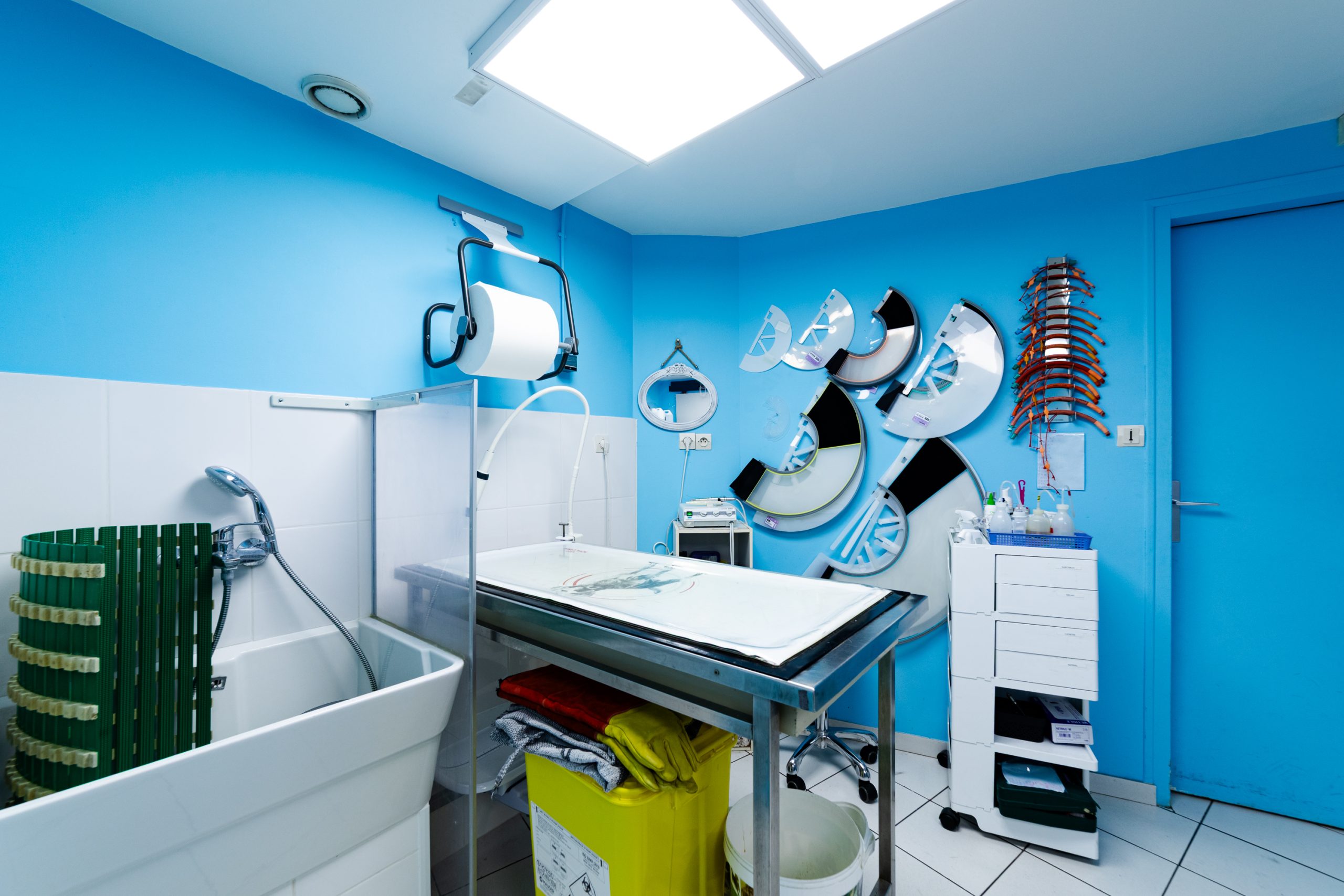 clinique vétérinaire du caou montigny le bretonneux 11