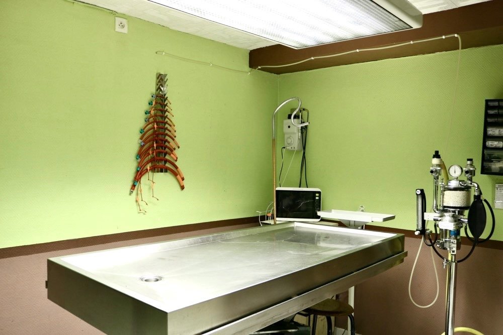 salle de chirurgie