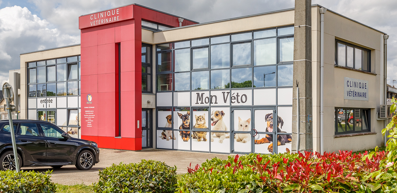 igoville mon véto