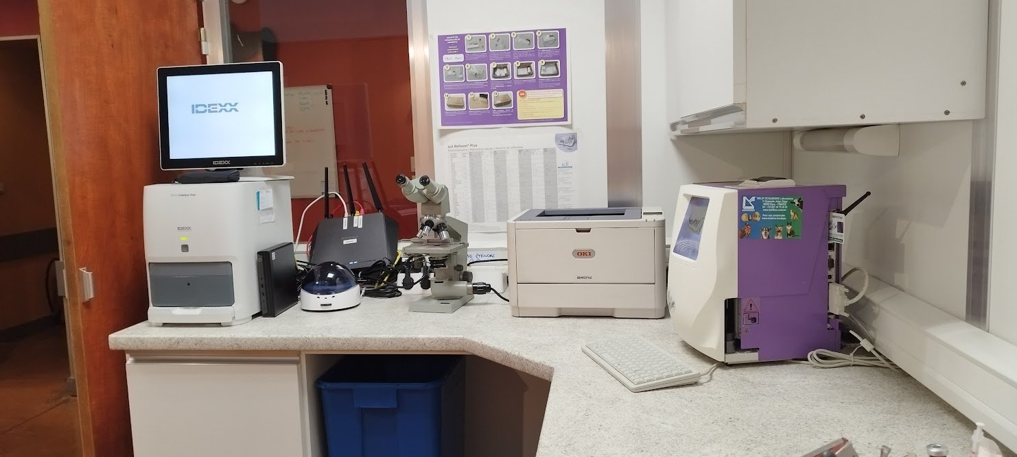 laboratoire
