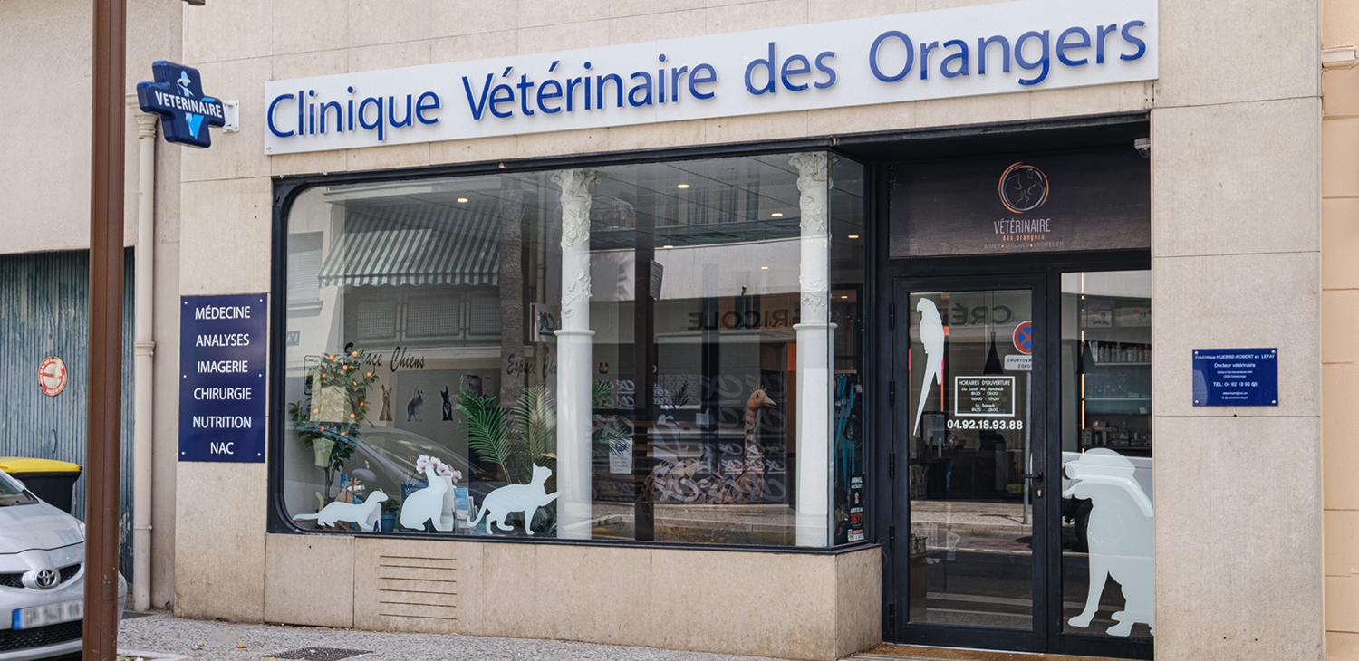 le cannet mon véto