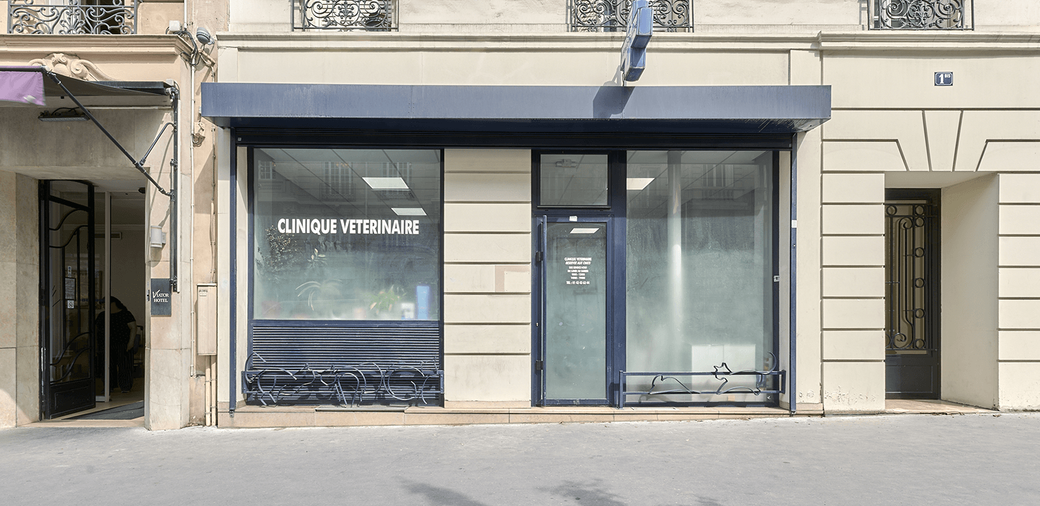 paris 12 mon véto