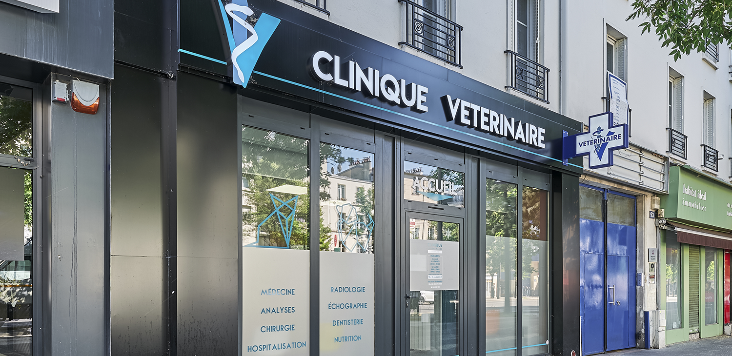 paris 13 mon véto