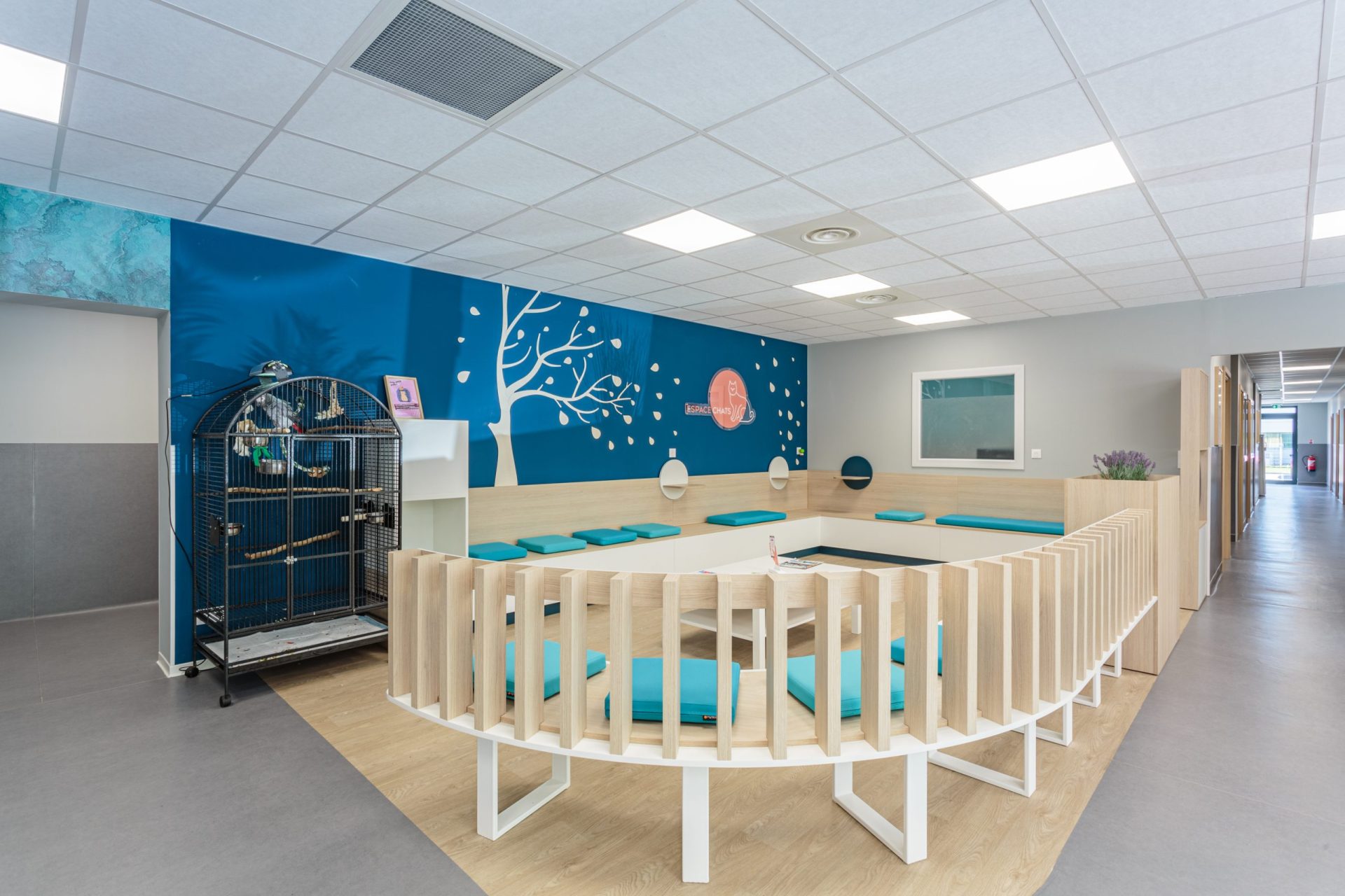 parme biarritz 05 0