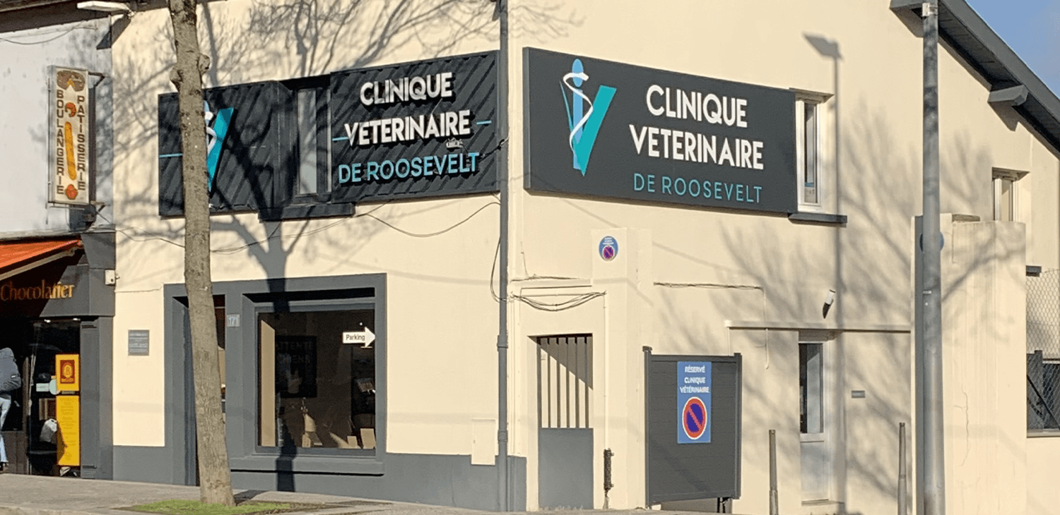 Clinique Vétérinaire Roosevelt Bron (69500)
