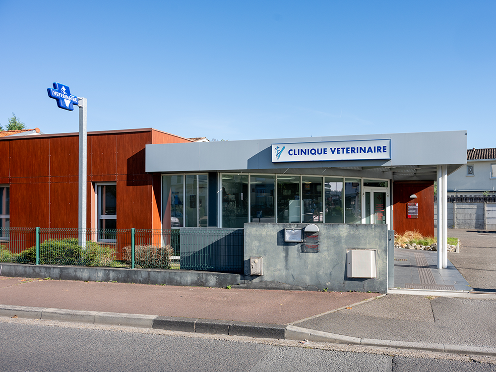 Clinique Vétérinaire Alfavet