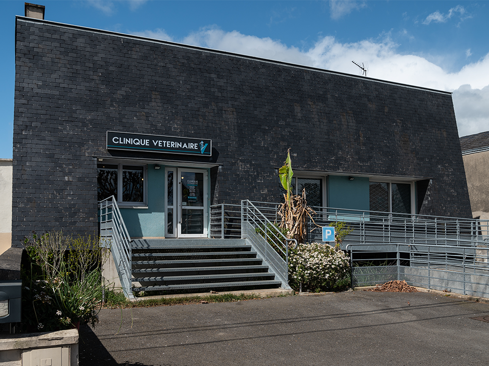 Clinique Vétérinaire Chateauroux