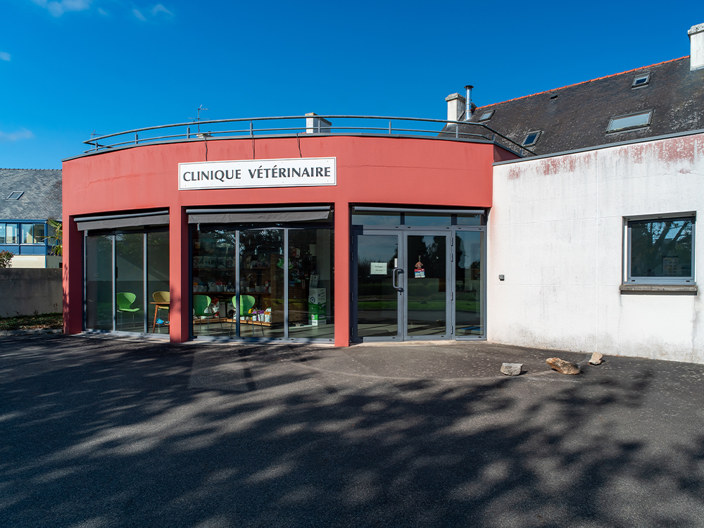 Clinique Vétérinaire Ty Rhu