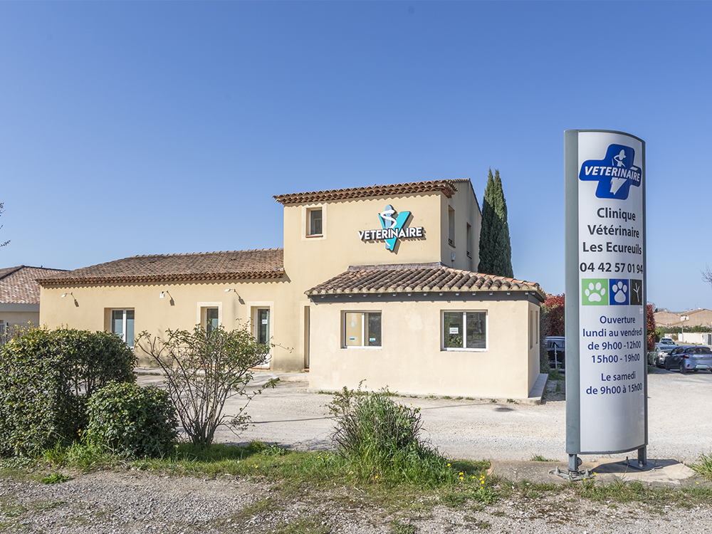 Clinique Vétérinaire les Écureuils