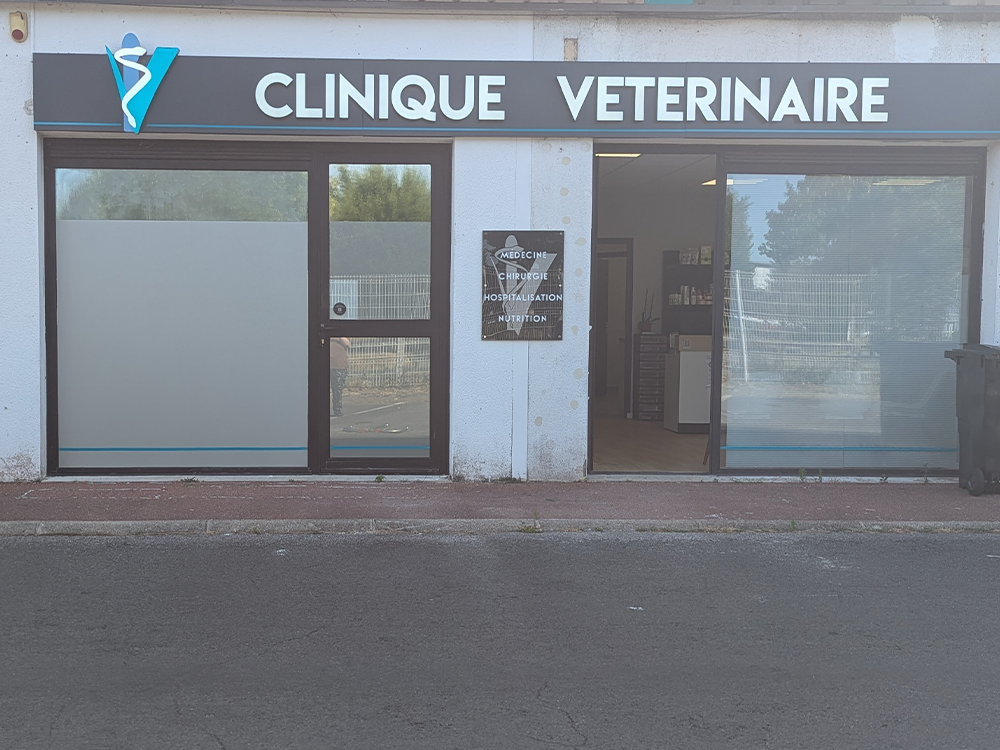 Clinique Vétérinaire Roissy en Brie