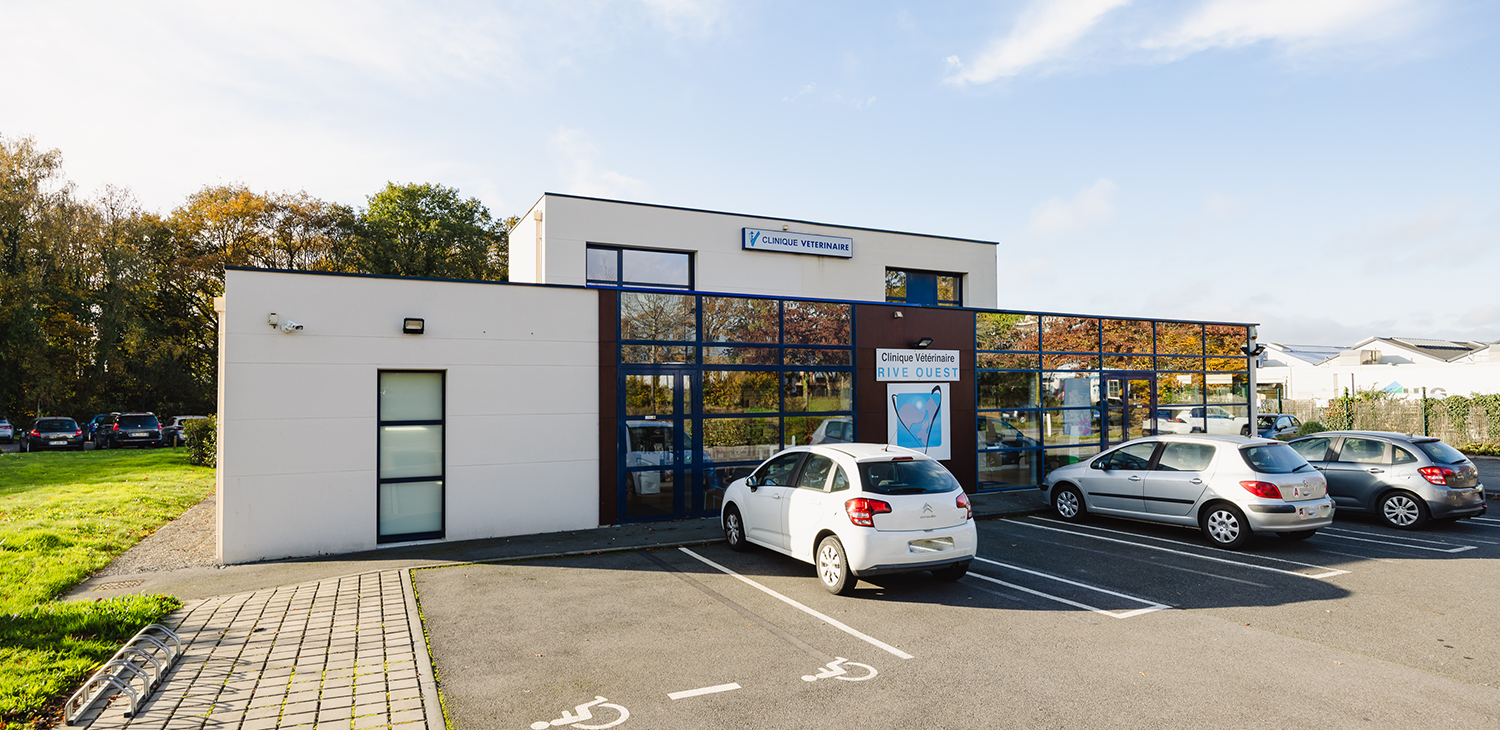 trame clinique header.2