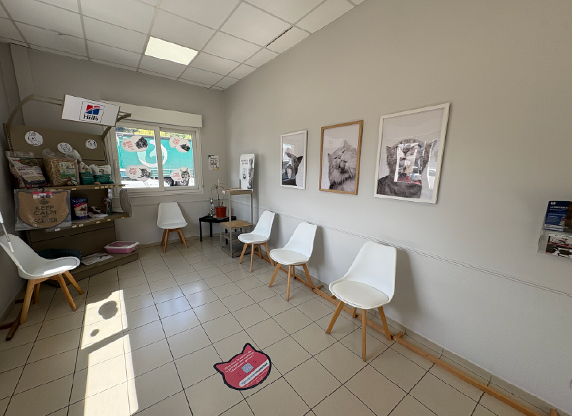trame photo pavilly 01