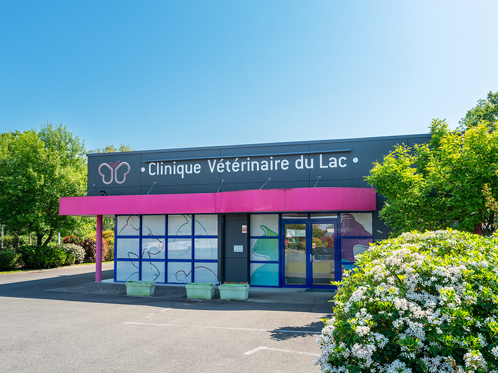 Clinique Vétérinaire du Lac