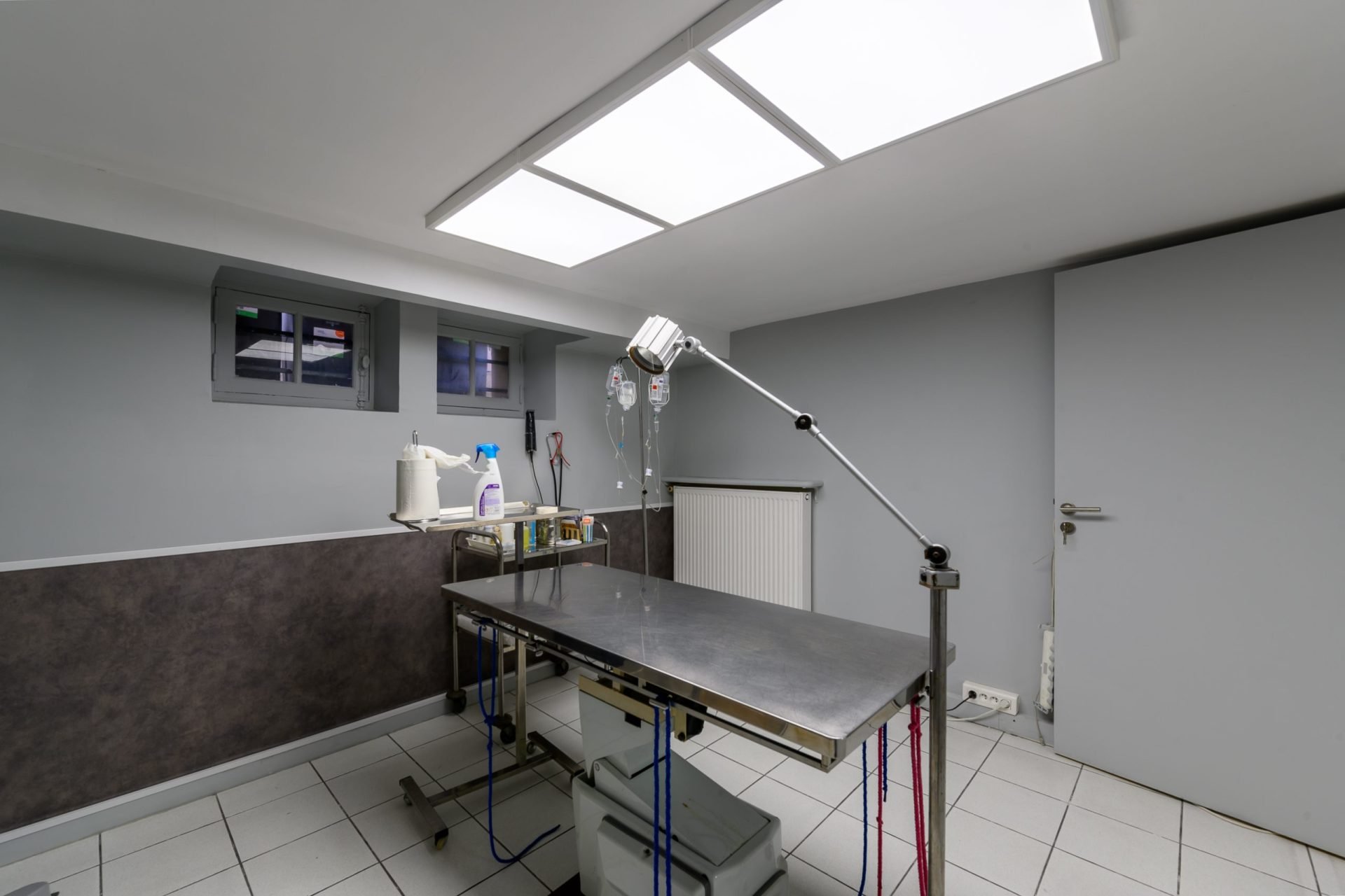 cabinetveterinairemedico chirurgicalathis mons athis mons 5