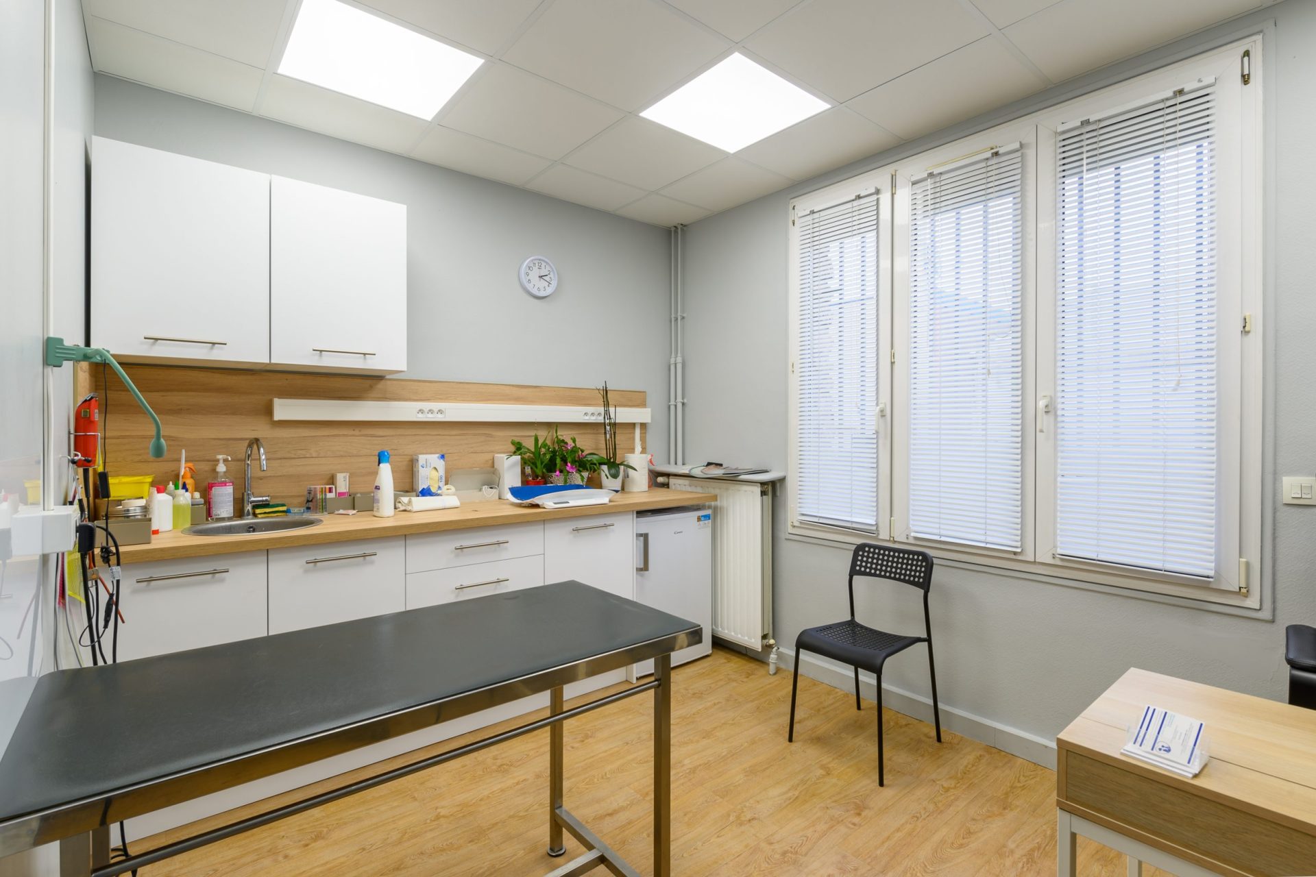 cabinetveterinairemedico chirurgicalathis mons athis mons 8