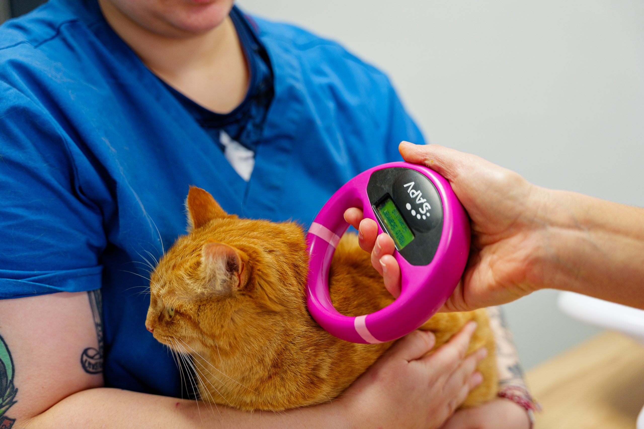  champagnesurseine 27