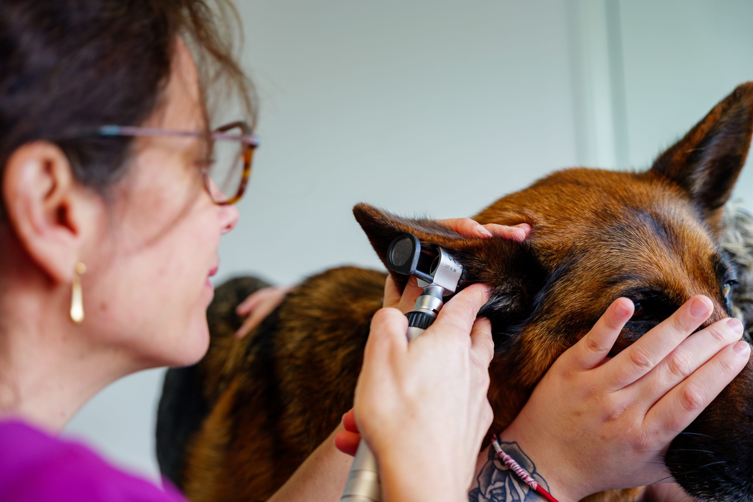  champagnesurseine 36