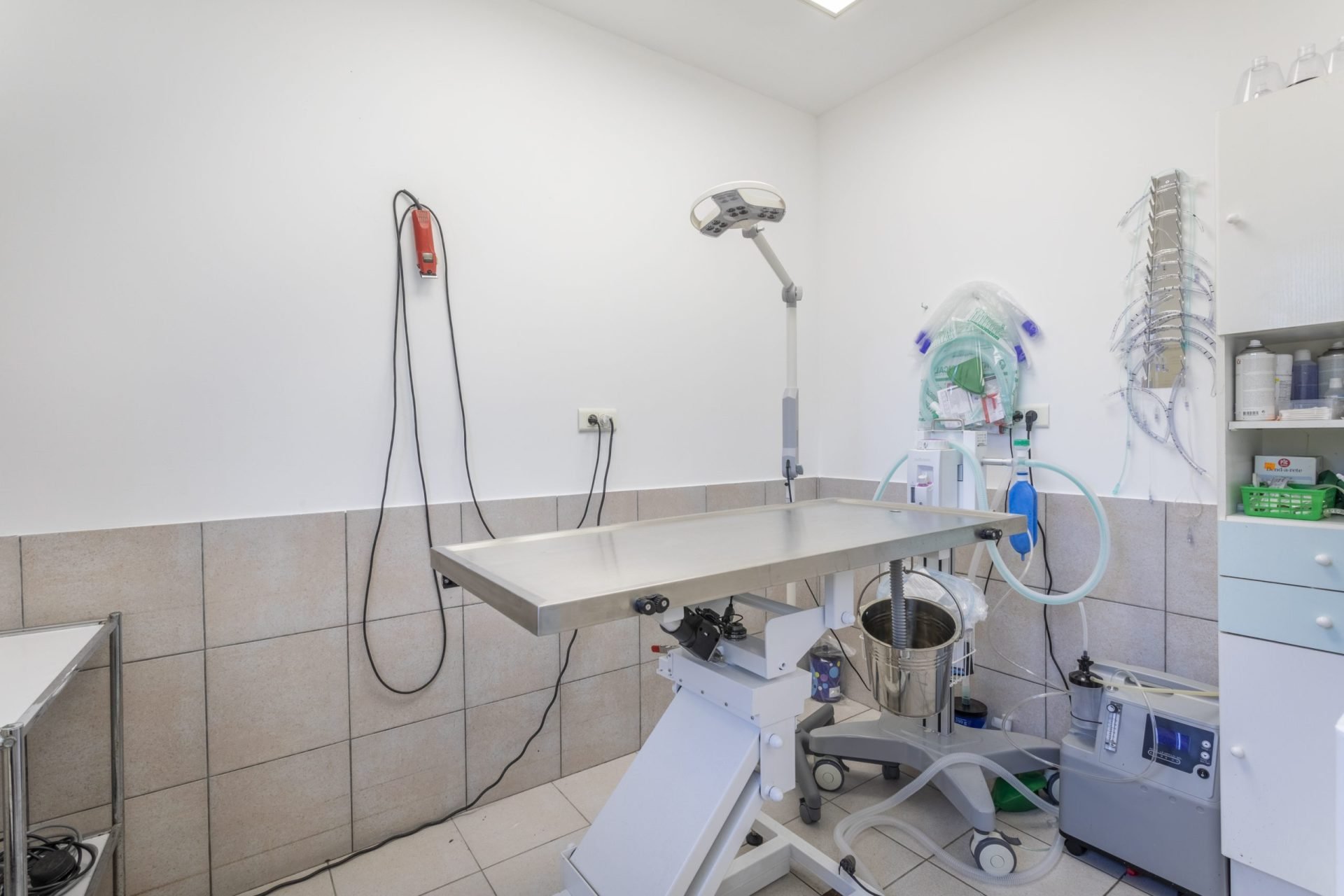 cliniqueveterinaireauriol auriol 2