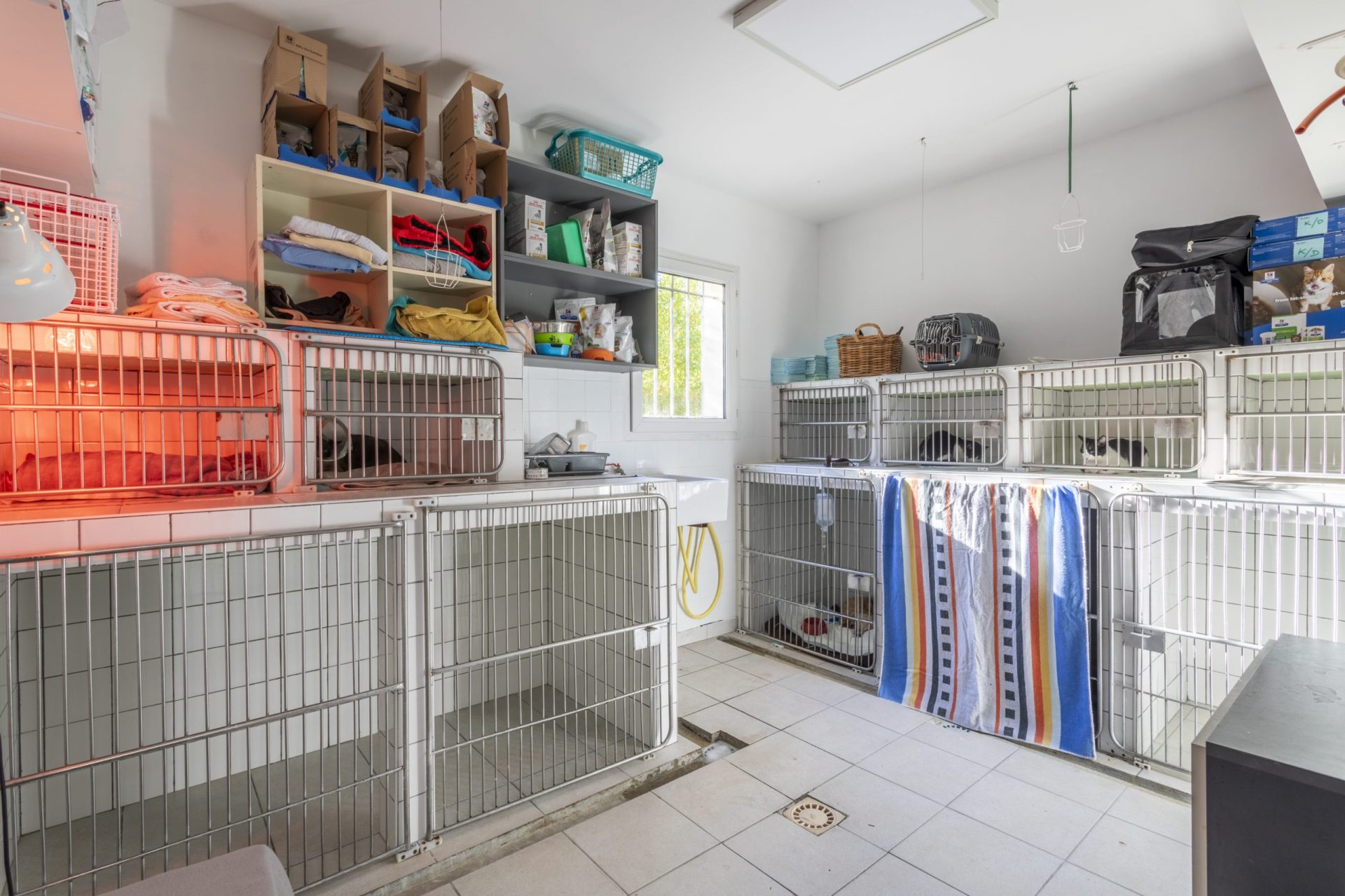 cliniqueveterinaireauriol auriol 7
