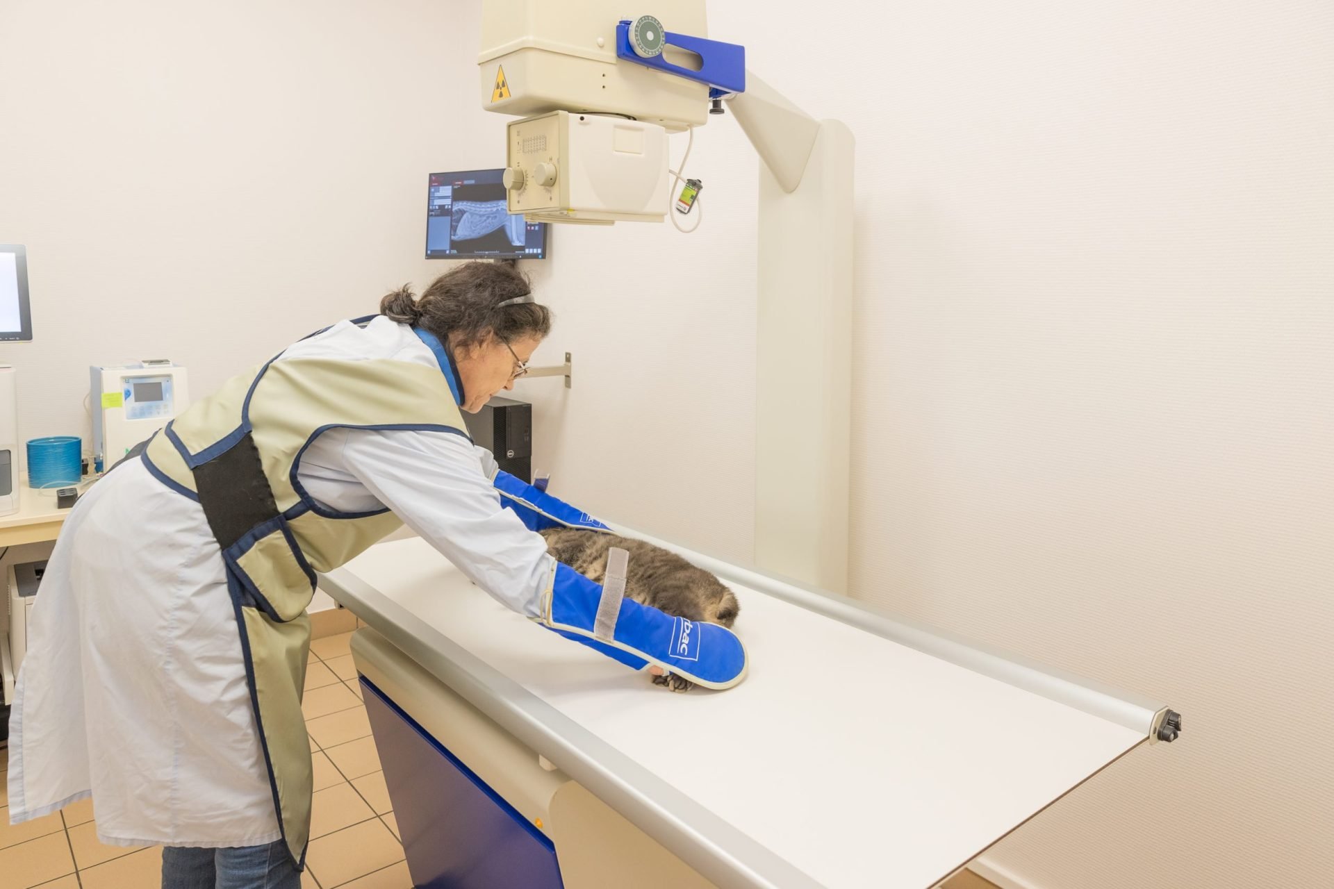 cliniqueveterinaireauxerre conches auxerre 12