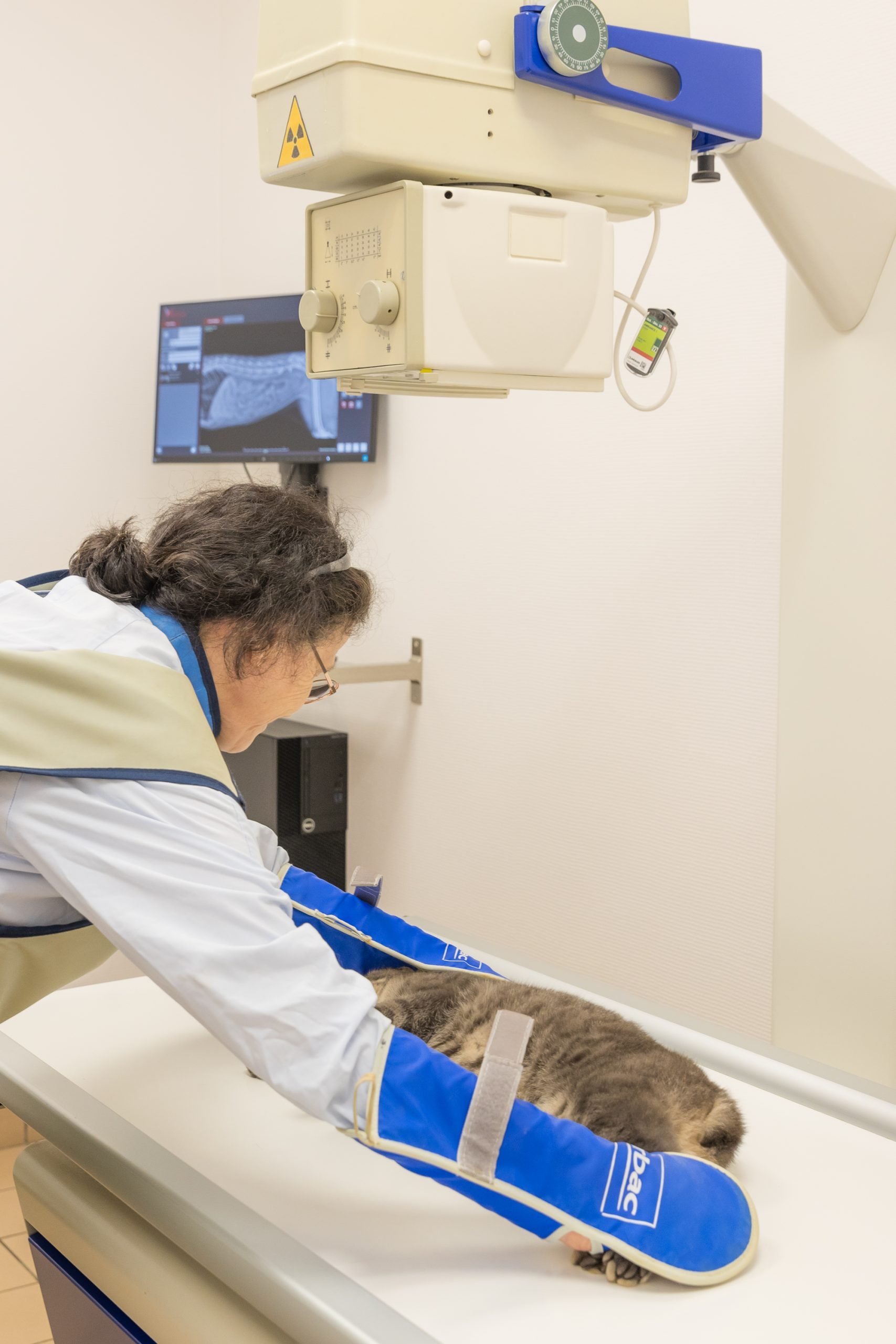 cliniqueveterinaireauxerre conches auxerre 13