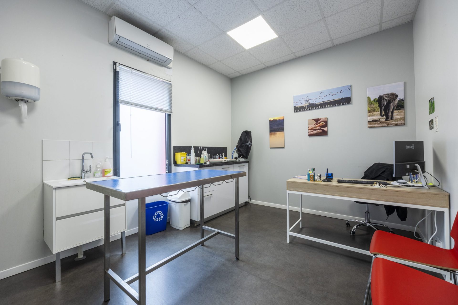 cliniqueveterinaired evreuxsaint louis evreux 11