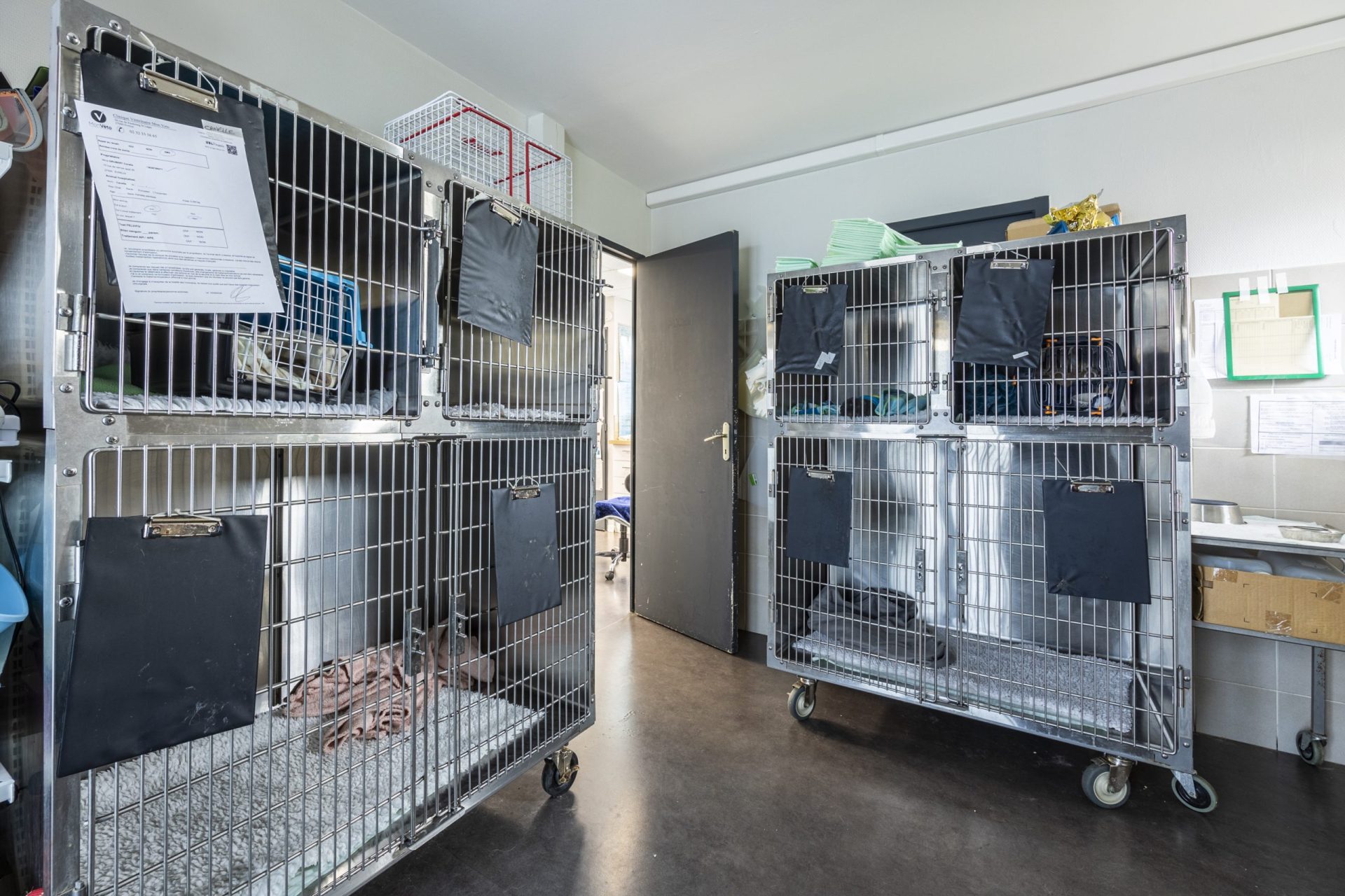 cliniqueveterinaired evreuxsaint louis evreux 9