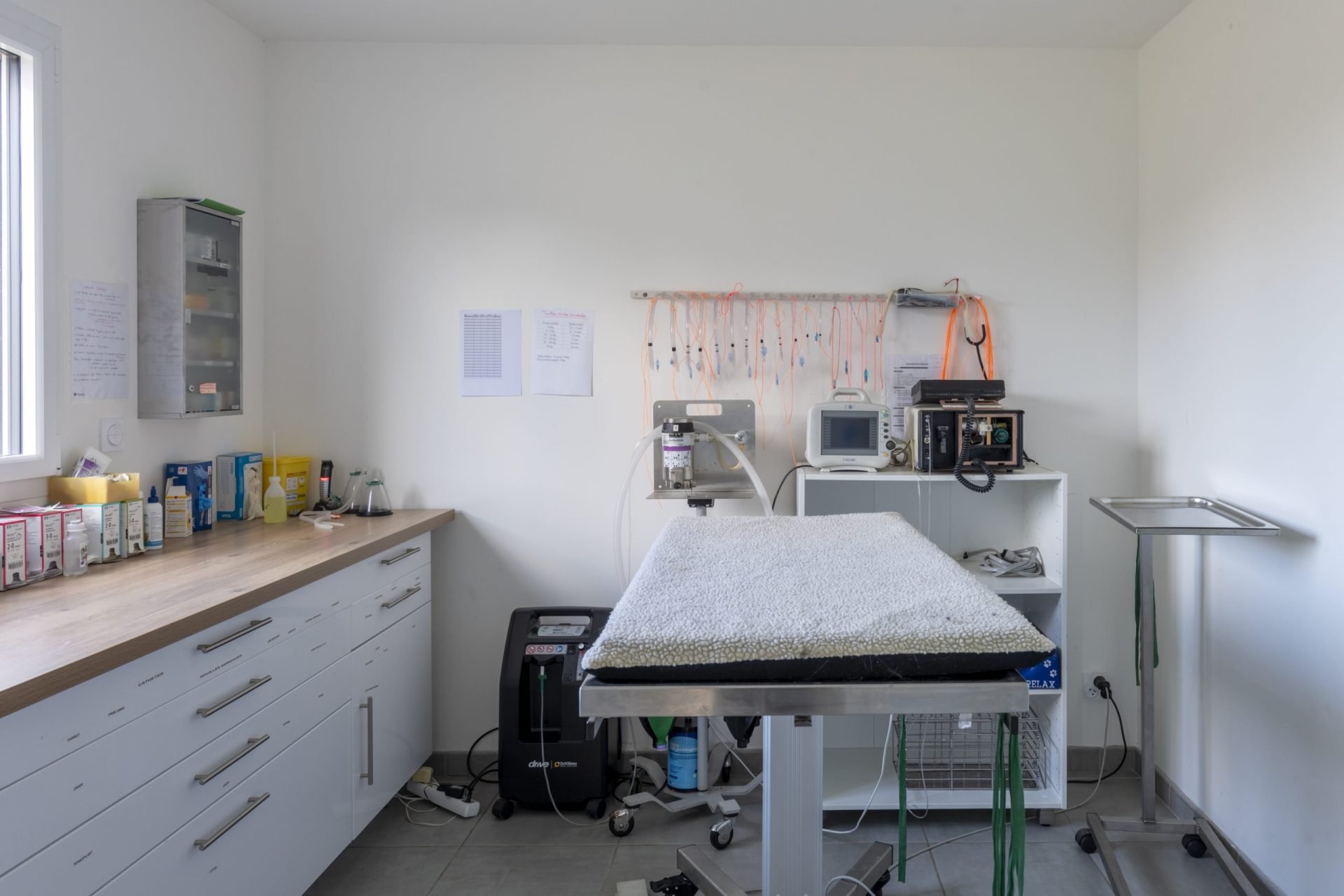 cliniqueveterinaired hornoylebourg hornoylebourg 10