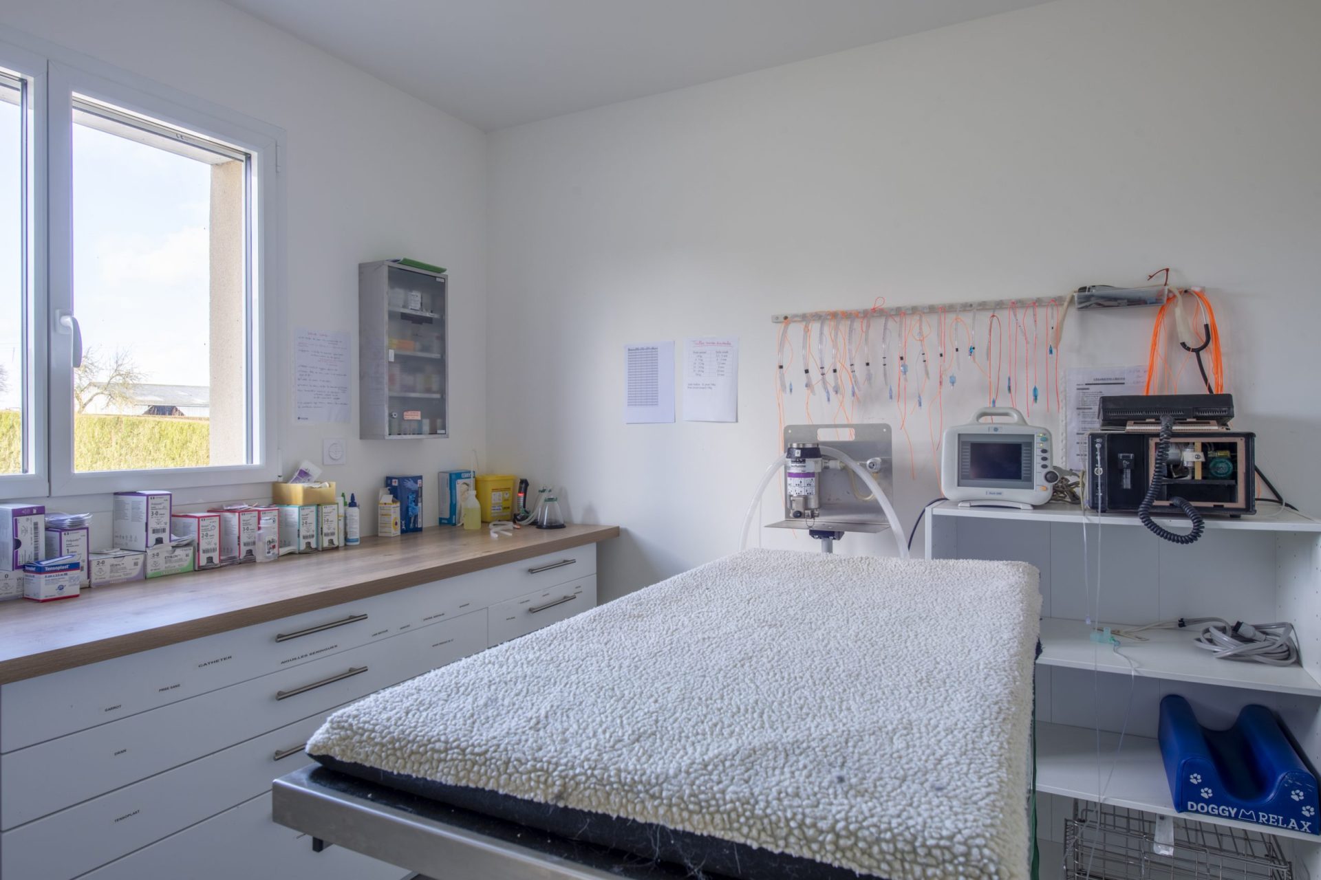 cliniqueveterinaired hornoylebourg hornoylebourg 11