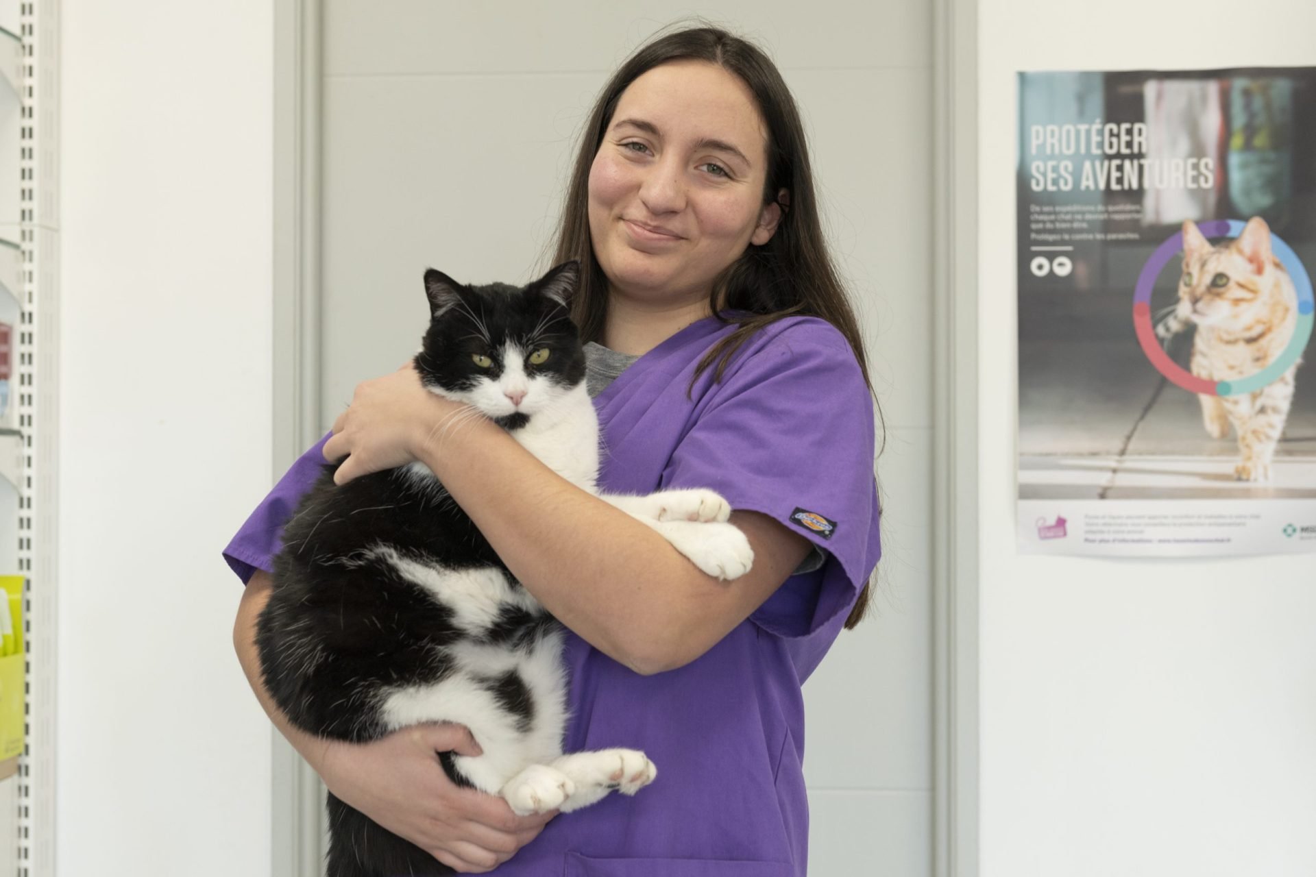 cliniqueveterinaired hornoylebourg hornoylebourg 29