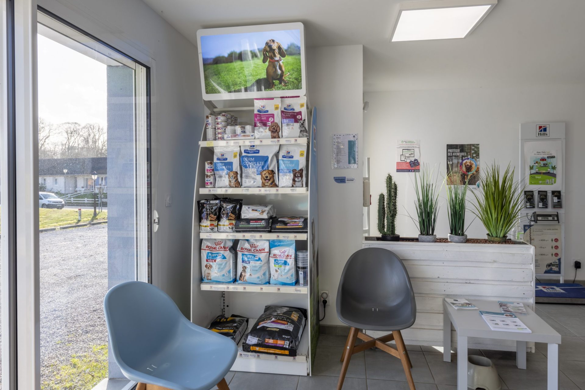 cliniqueveterinaired hornoylebourg hornoylebourg 7